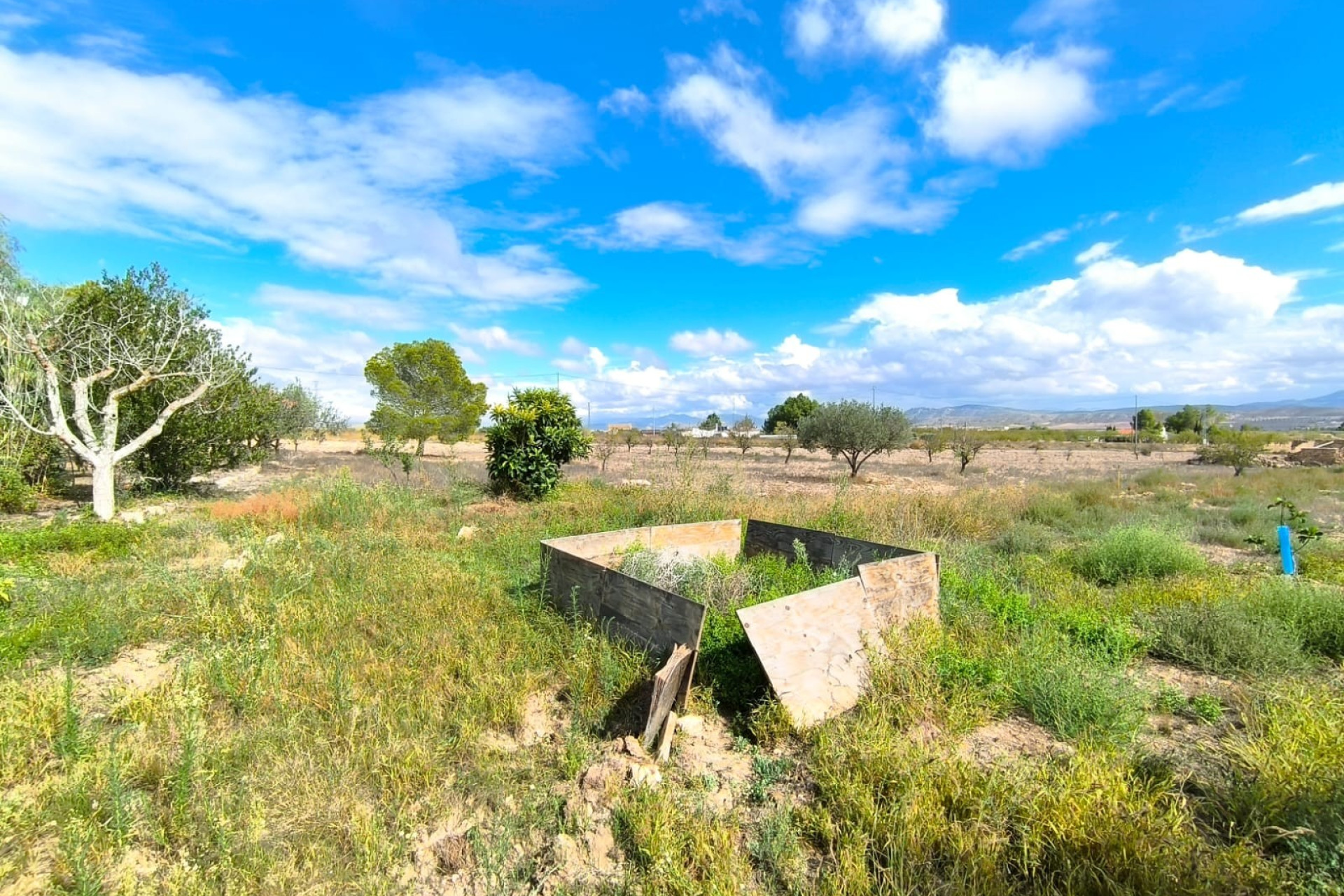 Revente - Maison de campagne -
Yecla - Inland