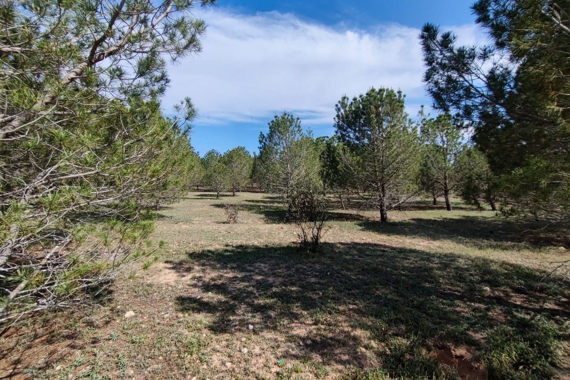 Revente - Maison de campagne -
Yecla