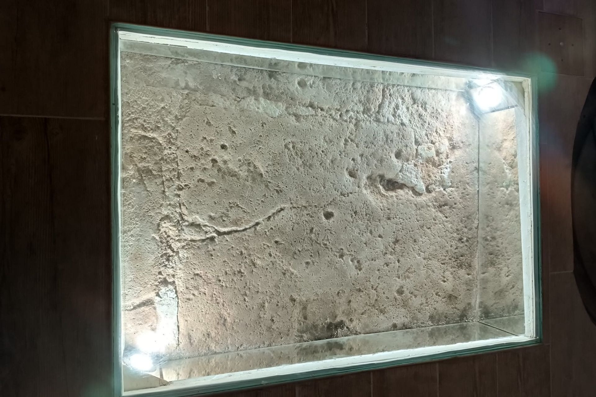 Revente - Maison de campagne -
Yecla