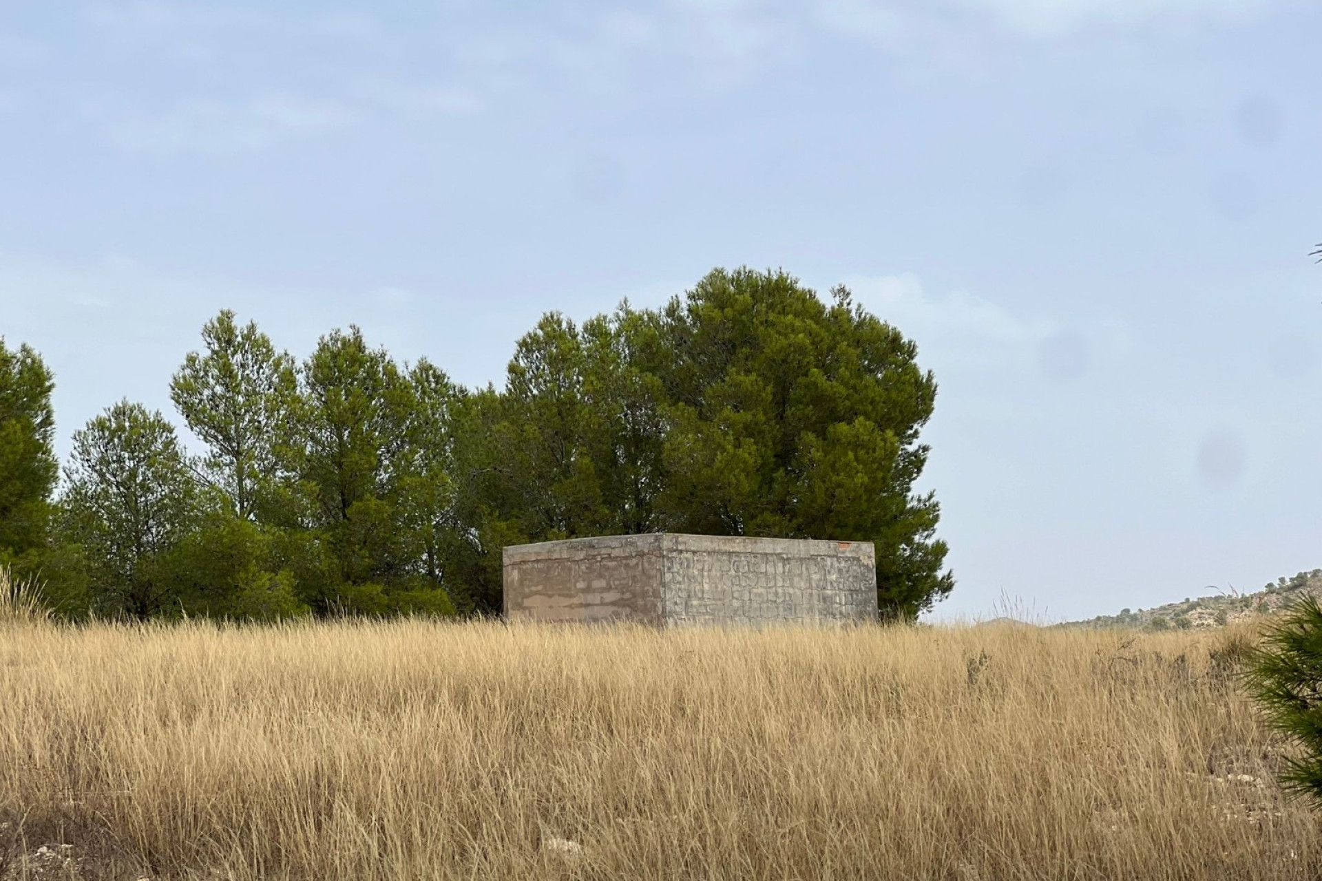Revente - Maison de campagne -
Yecla