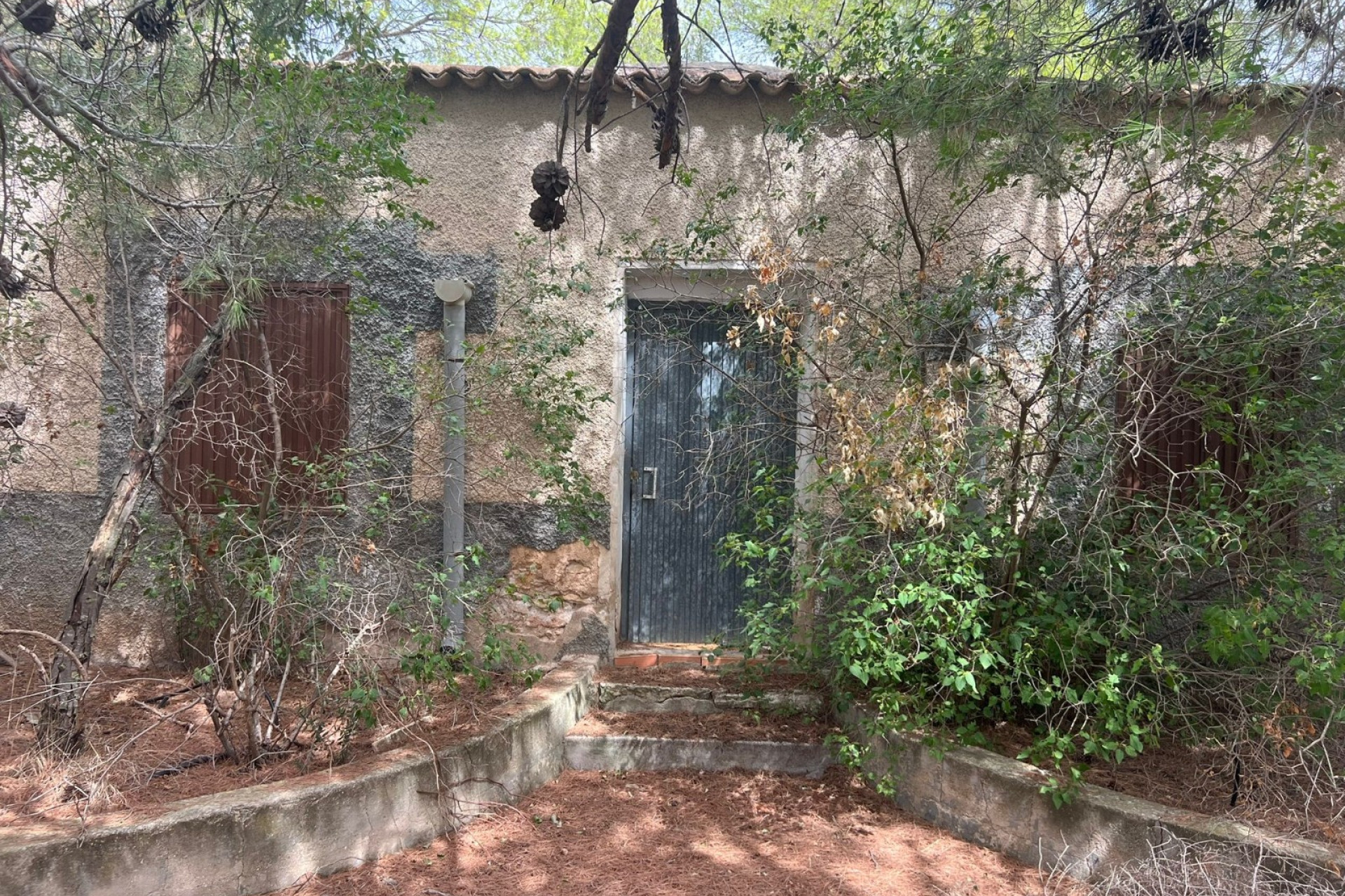 Revente - Maison de campagne -
Yecla