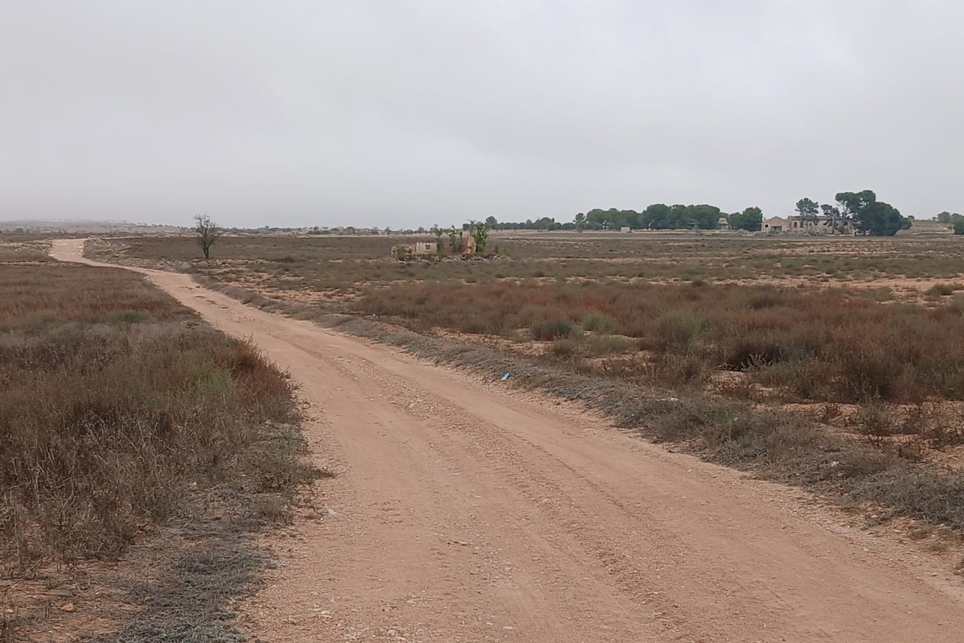 Revente - Maison de campagne -
Yecla