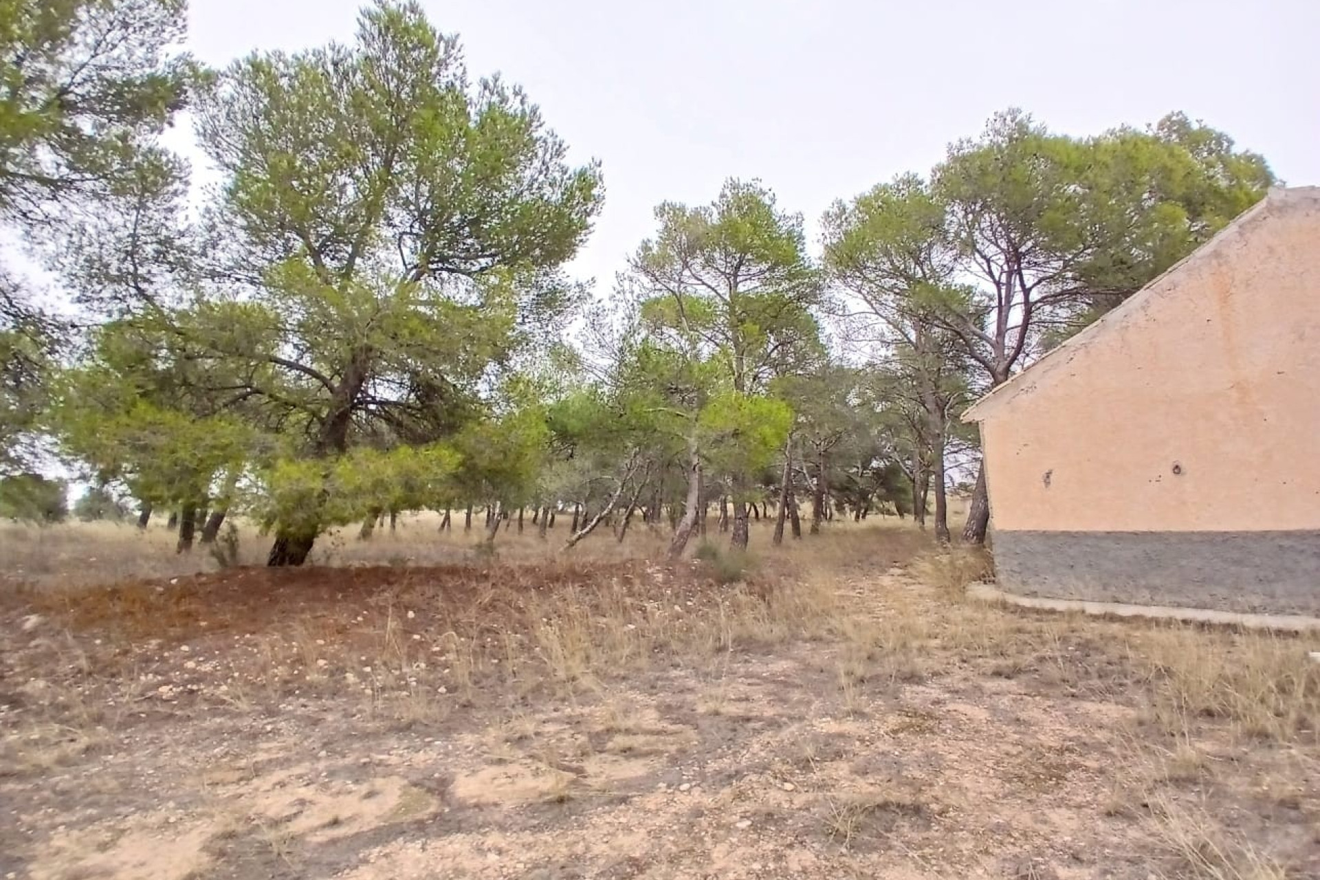 Revente - Maison de campagne -
Yecla