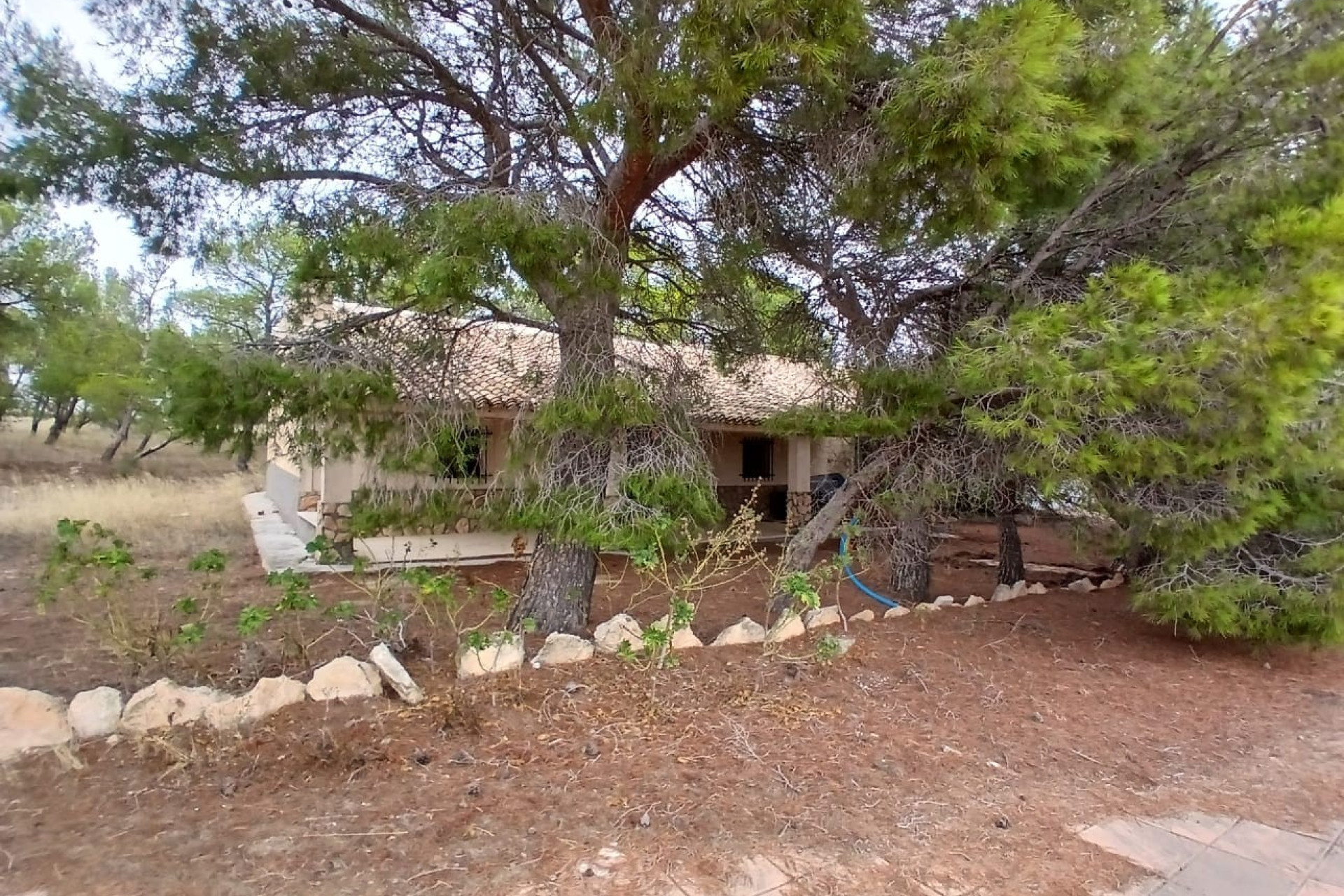 Revente - Maison de campagne -
Yecla