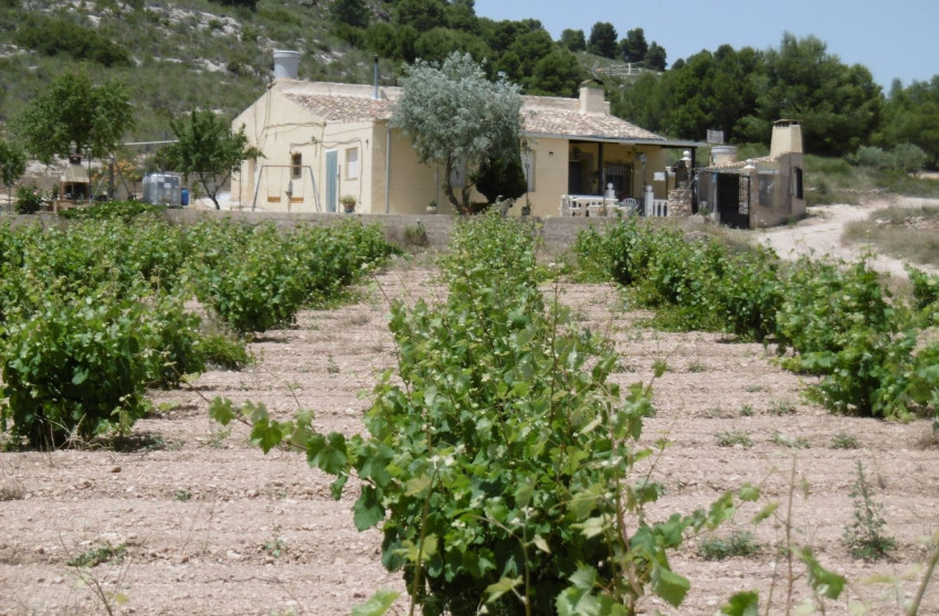 Revente - Maison de campagne -
Yecla