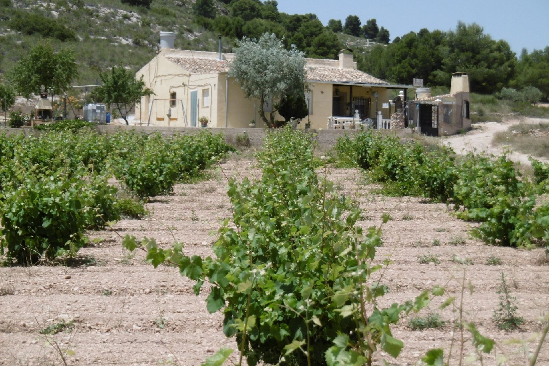 Revente - Maison de campagne -
Yecla