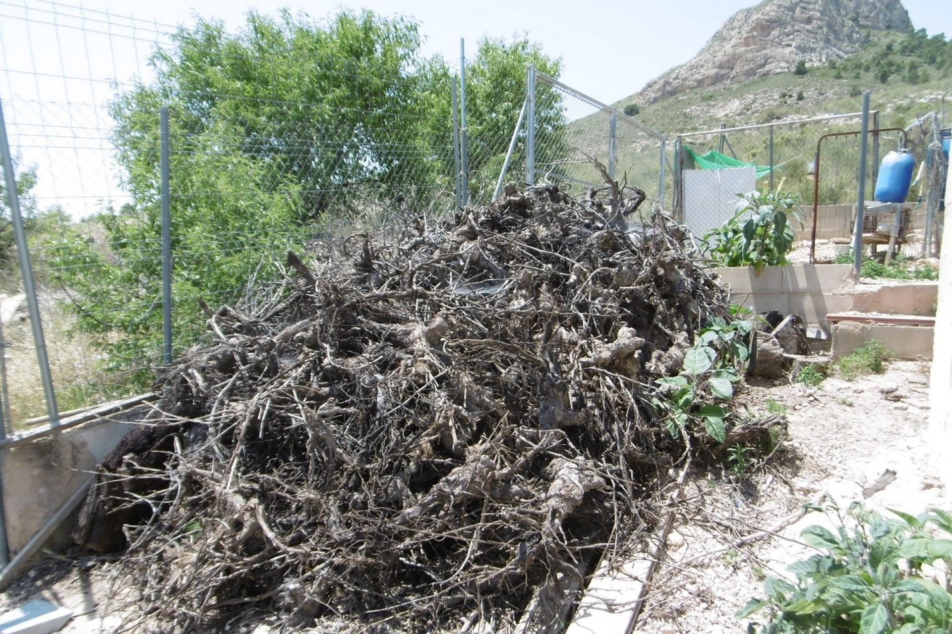 Revente - Maison de campagne -
Yecla