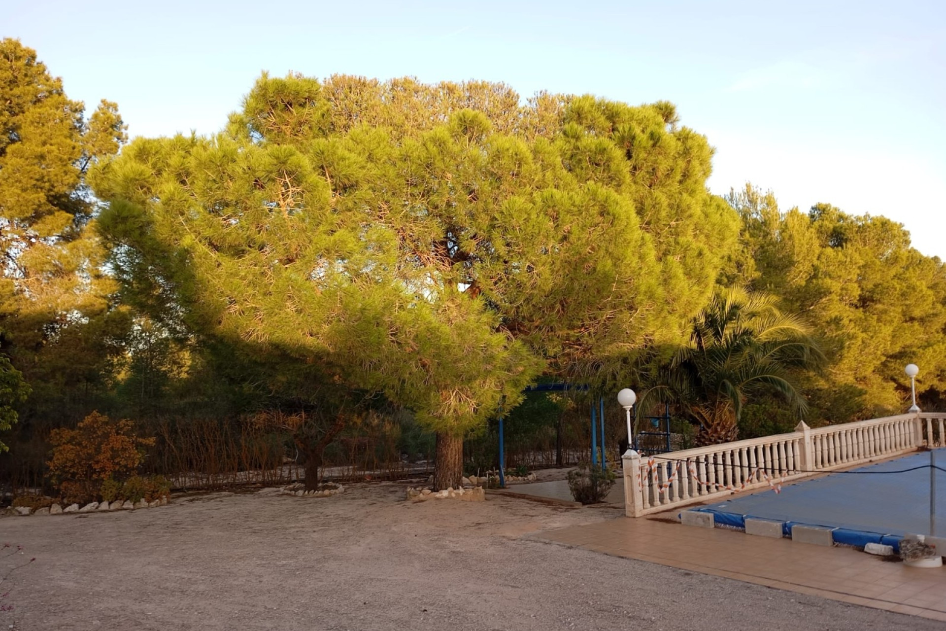 Revente - Maison de campagne -
Yecla