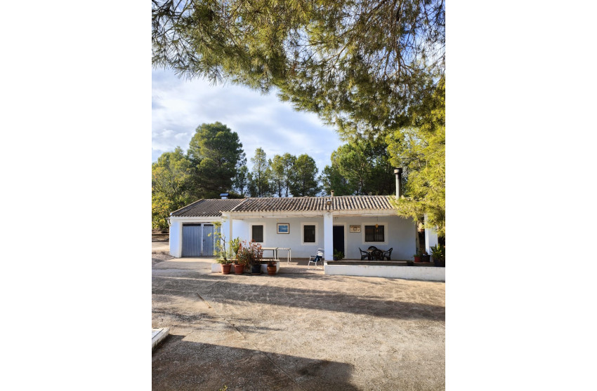 Revente - Maison de campagne -
Yecla