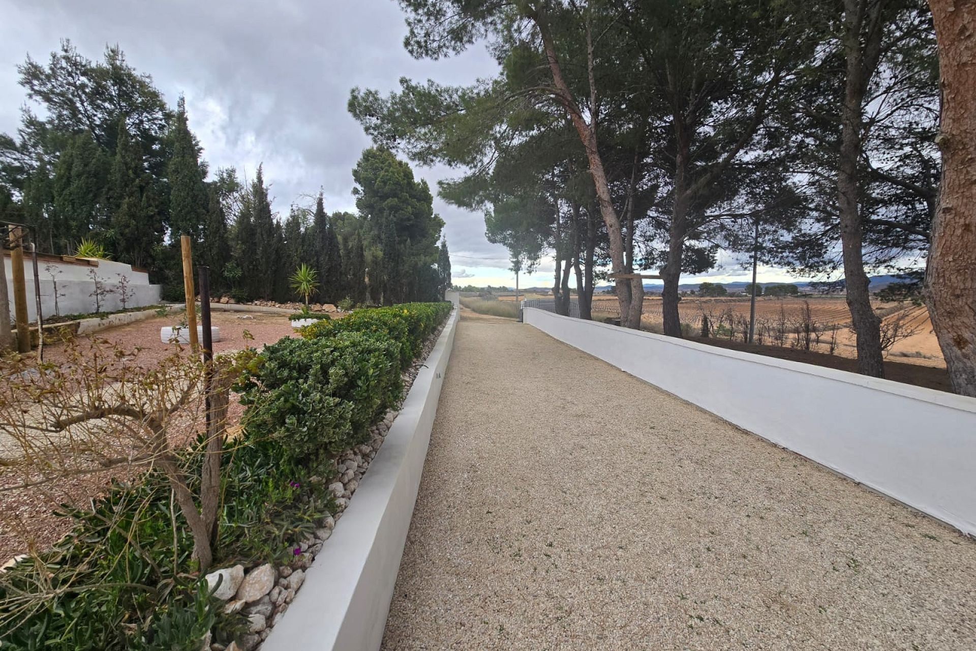 Revente - Maison de campagne -
Yecla