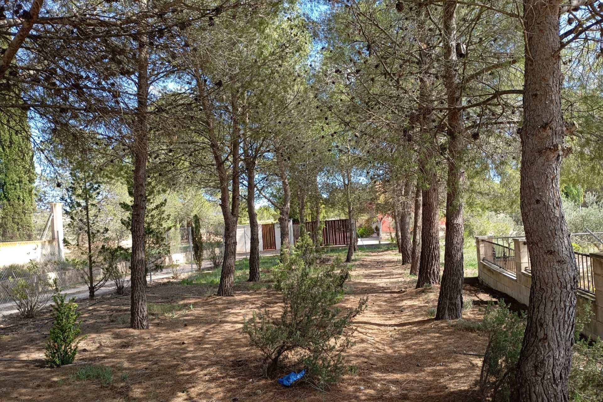 Revente - Maison de campagne -
Yecla