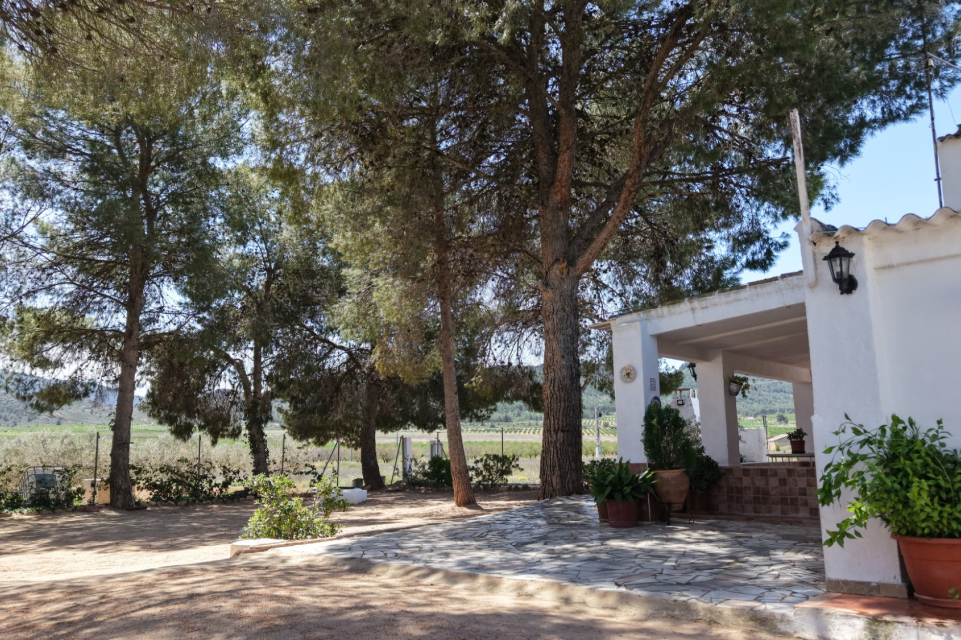 Revente - Maison de campagne -
Yecla