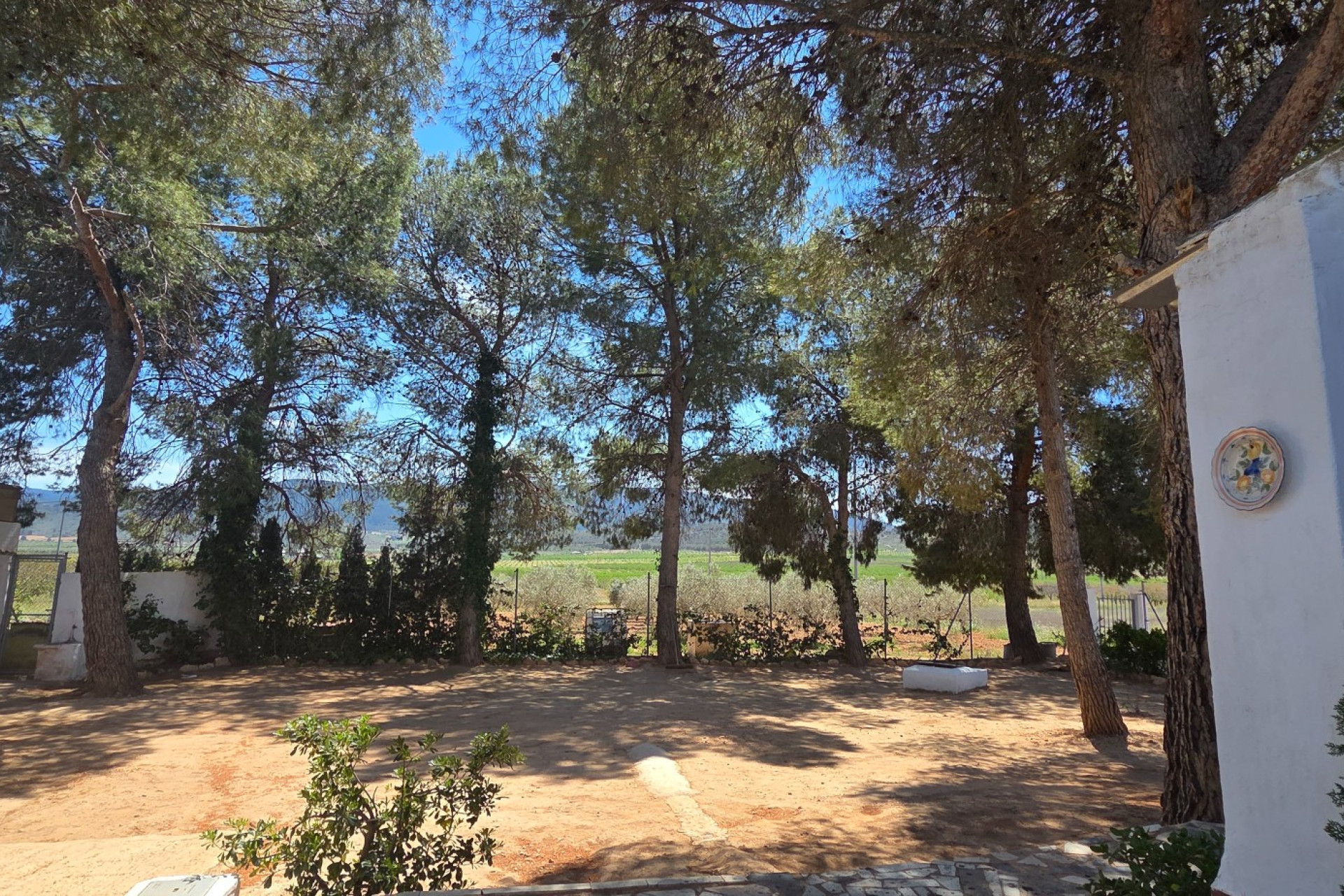 Revente - Maison de campagne -
Yecla