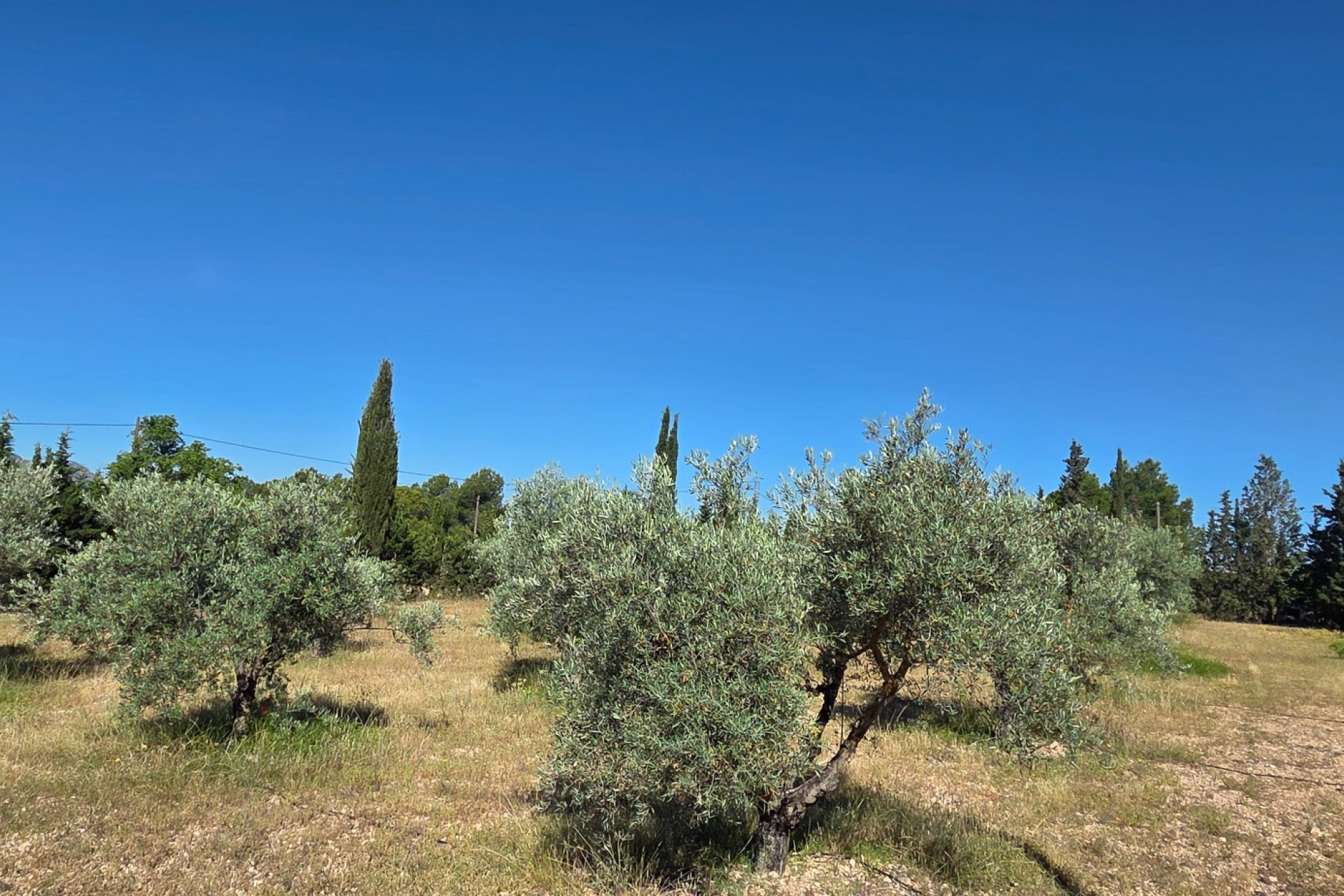Revente - Maison de campagne -
Yecla
