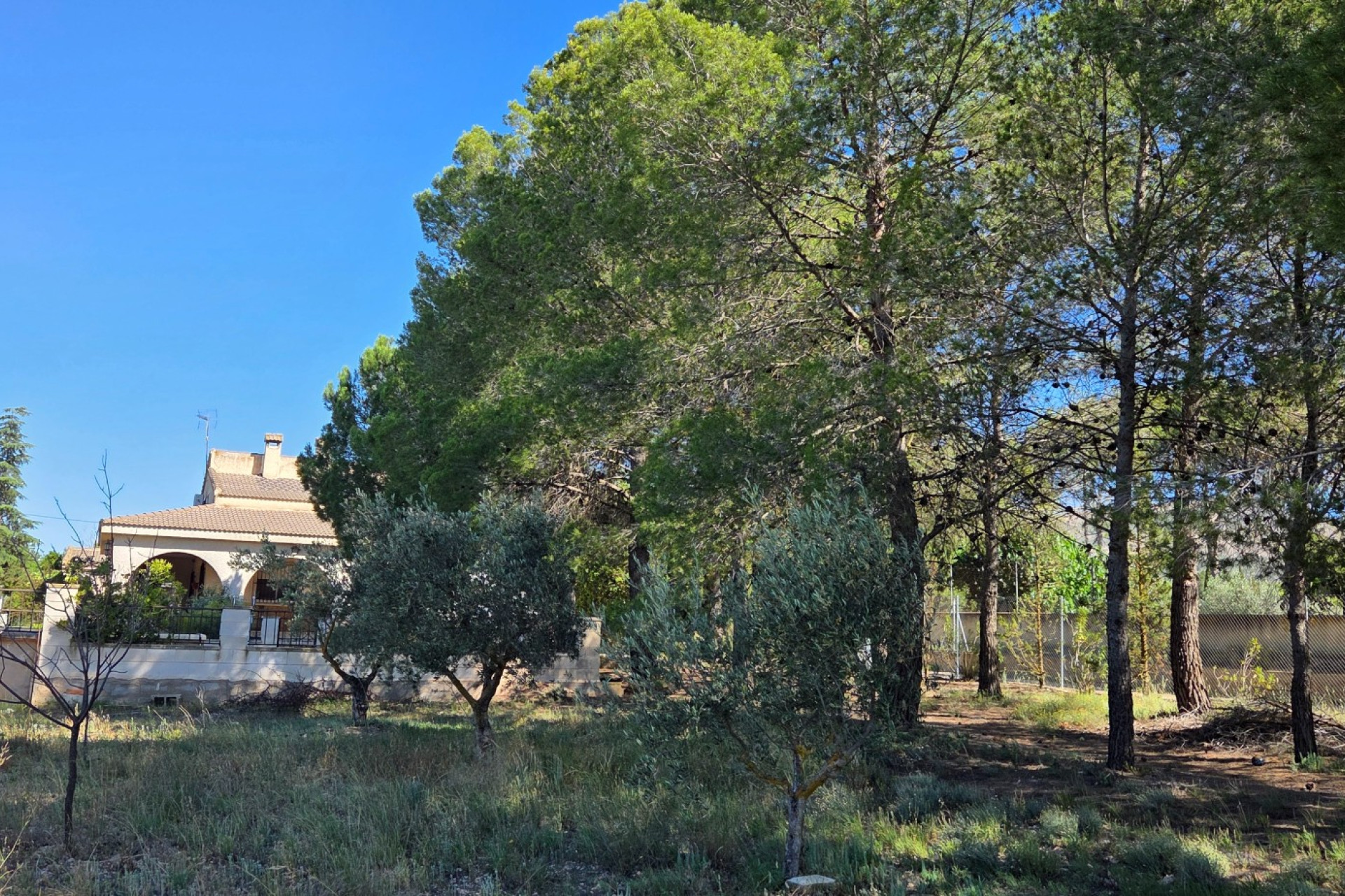 Revente - Maison de campagne -
Yecla