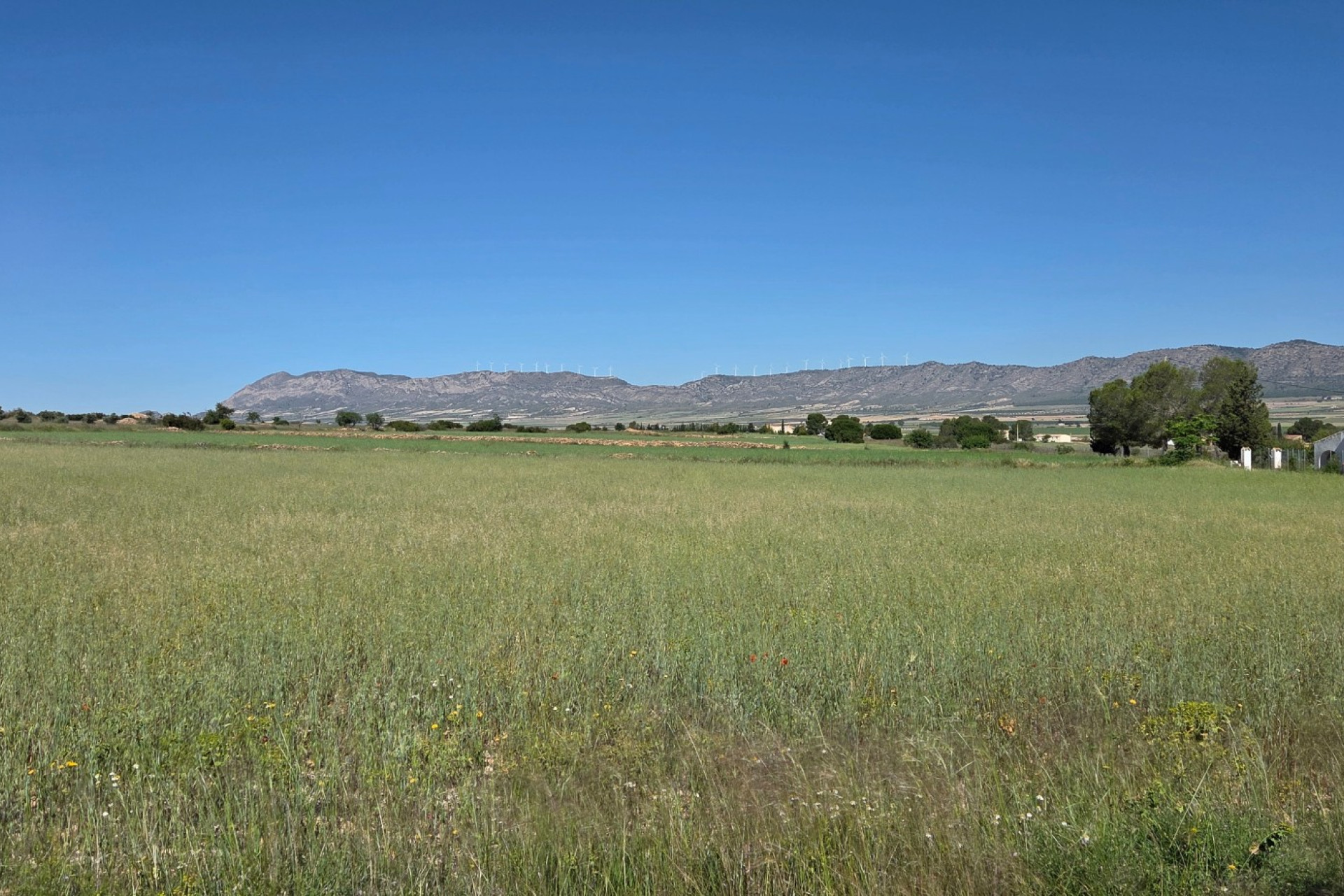 Revente - Maison de campagne -
Yecla