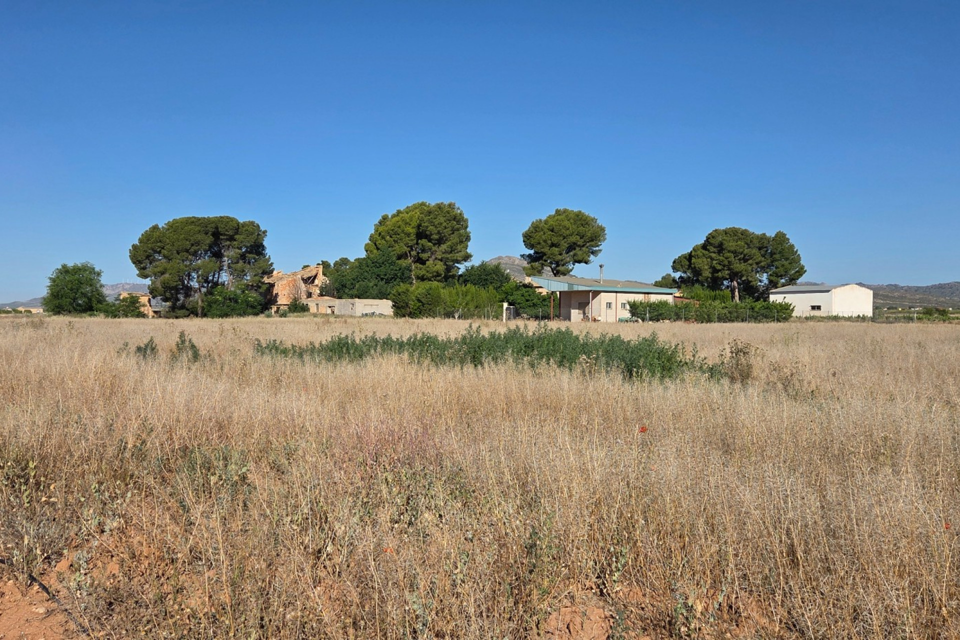 Revente - Maison de campagne -
Yecla