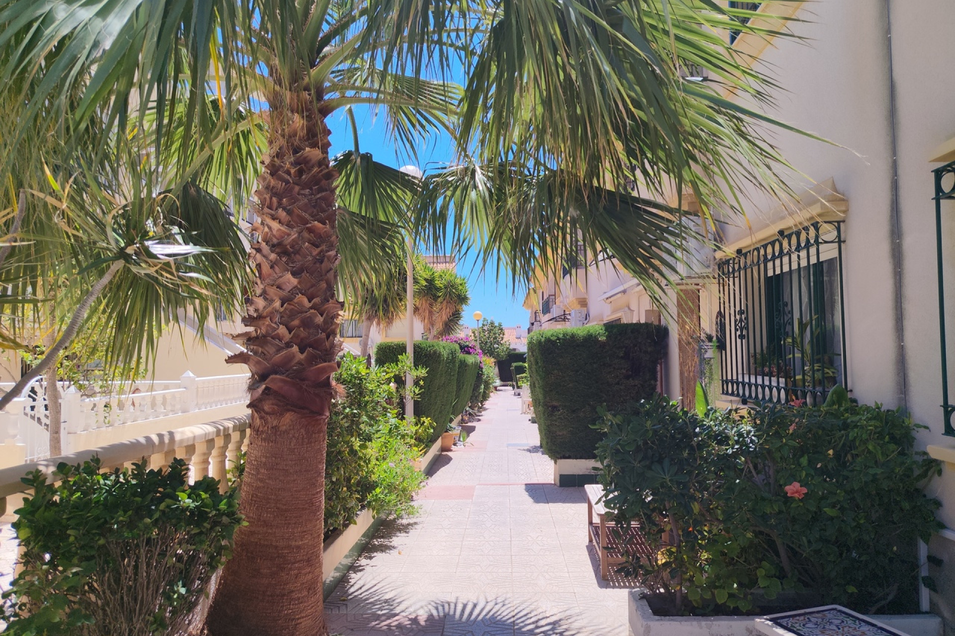 Revente - Maison mitoyenne -
La Zenia