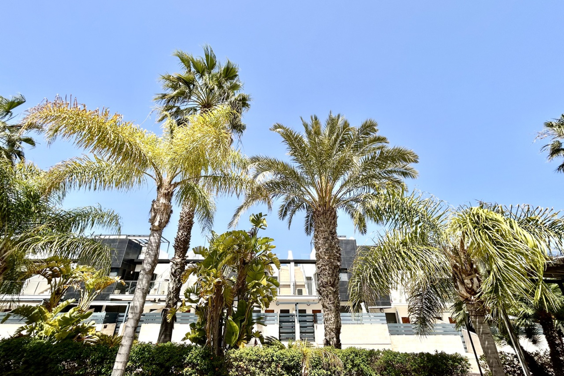 Revente - Maison mitoyenne -
Los Dolses