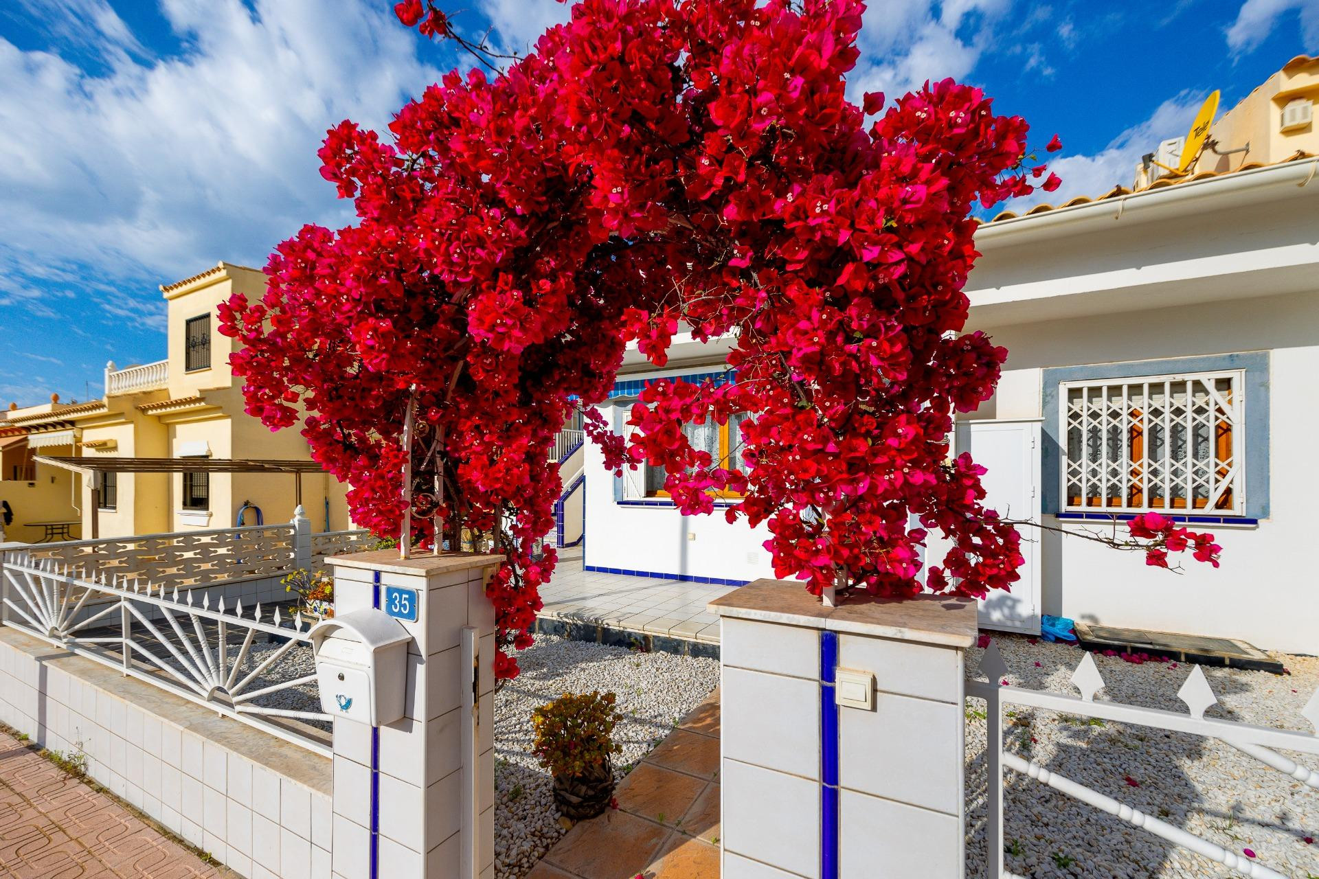Revente - Maison mitoyenne -
Orihuela Costa - La Florida