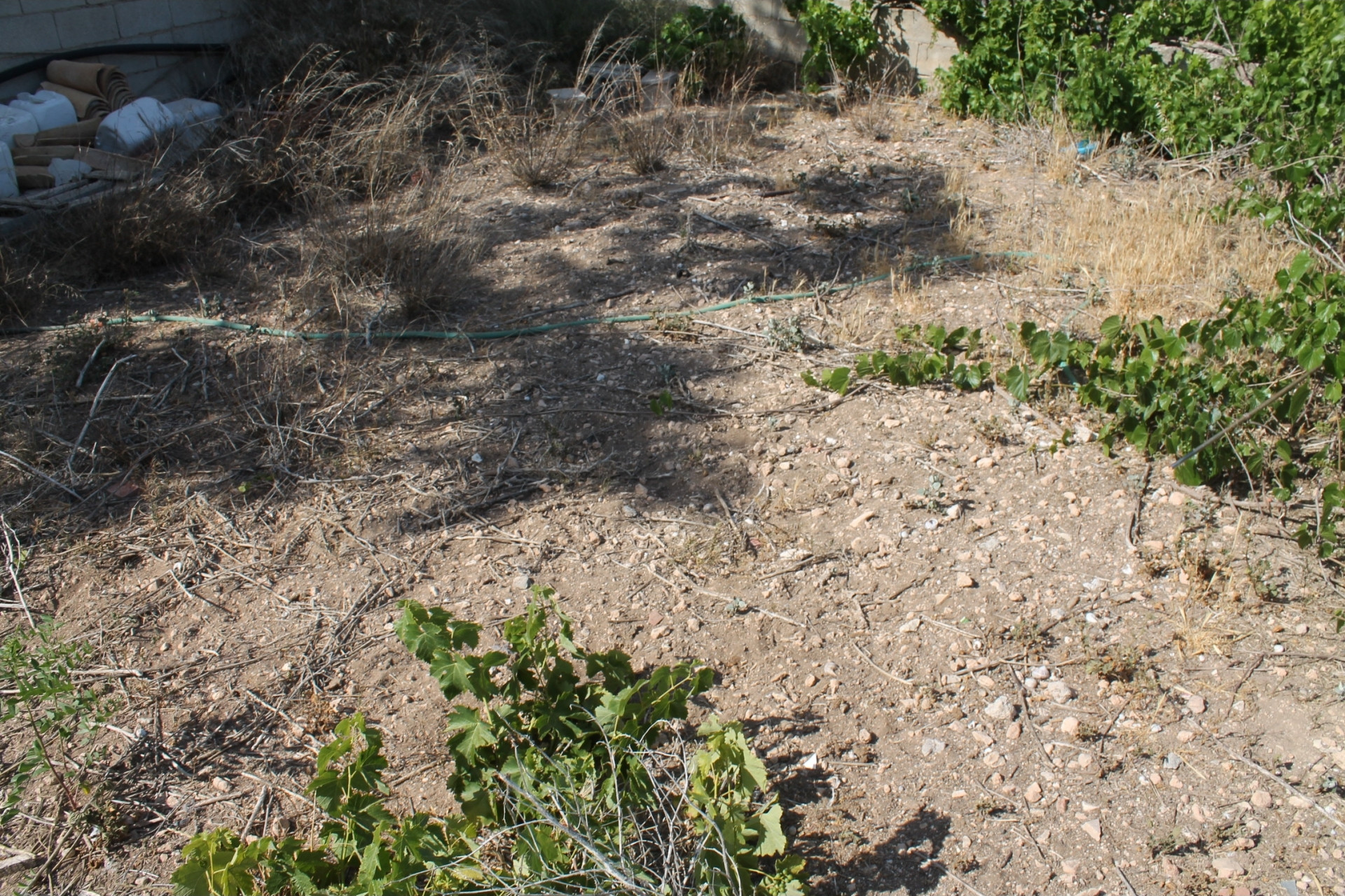 Revente - Maison mitoyenne -
Peña de la Zafra de Arriba - Peña de la Zafra de Arriba Murcia