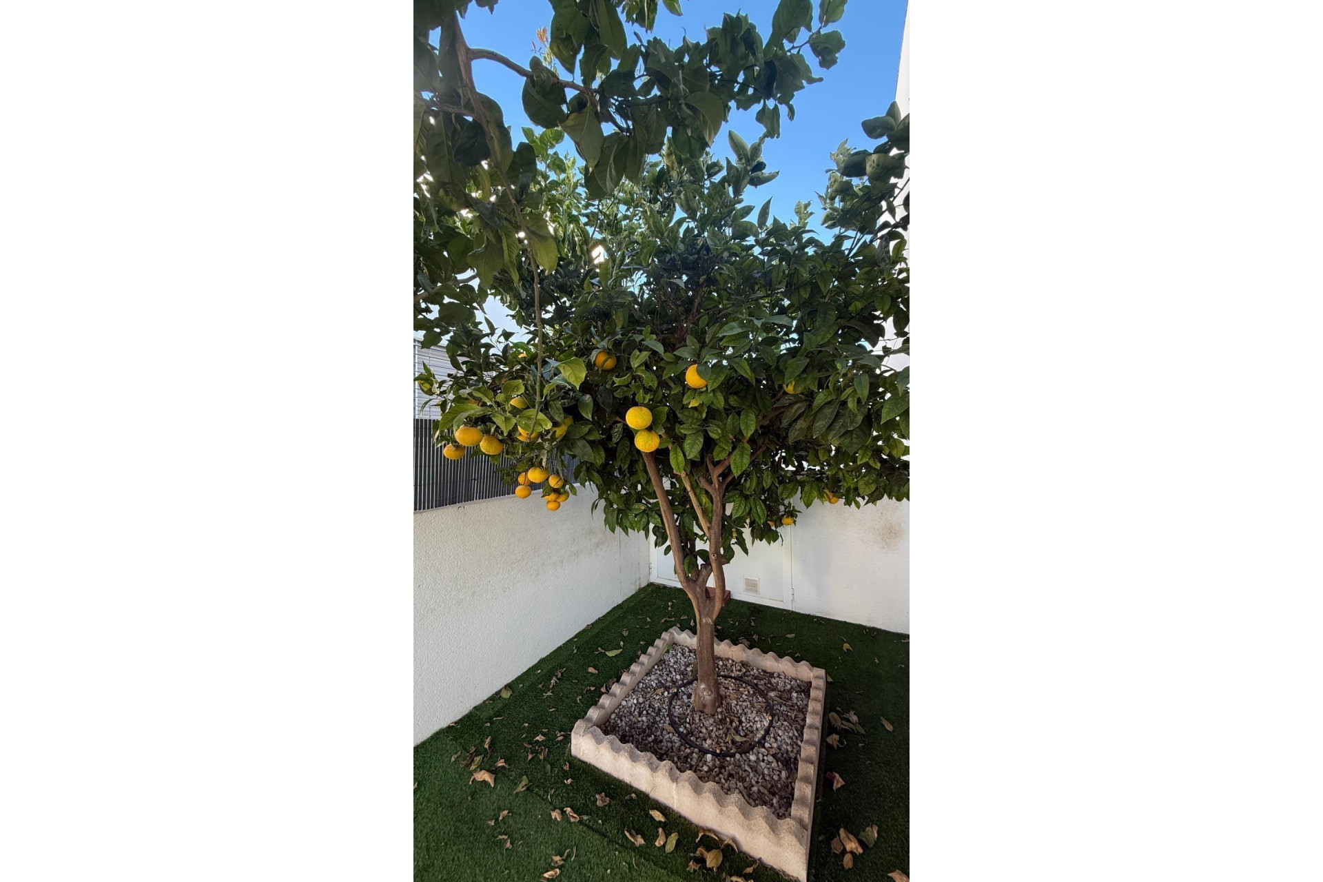 Revente - Maison mitoyenne -
Torrevieja - Aguas Nuevas