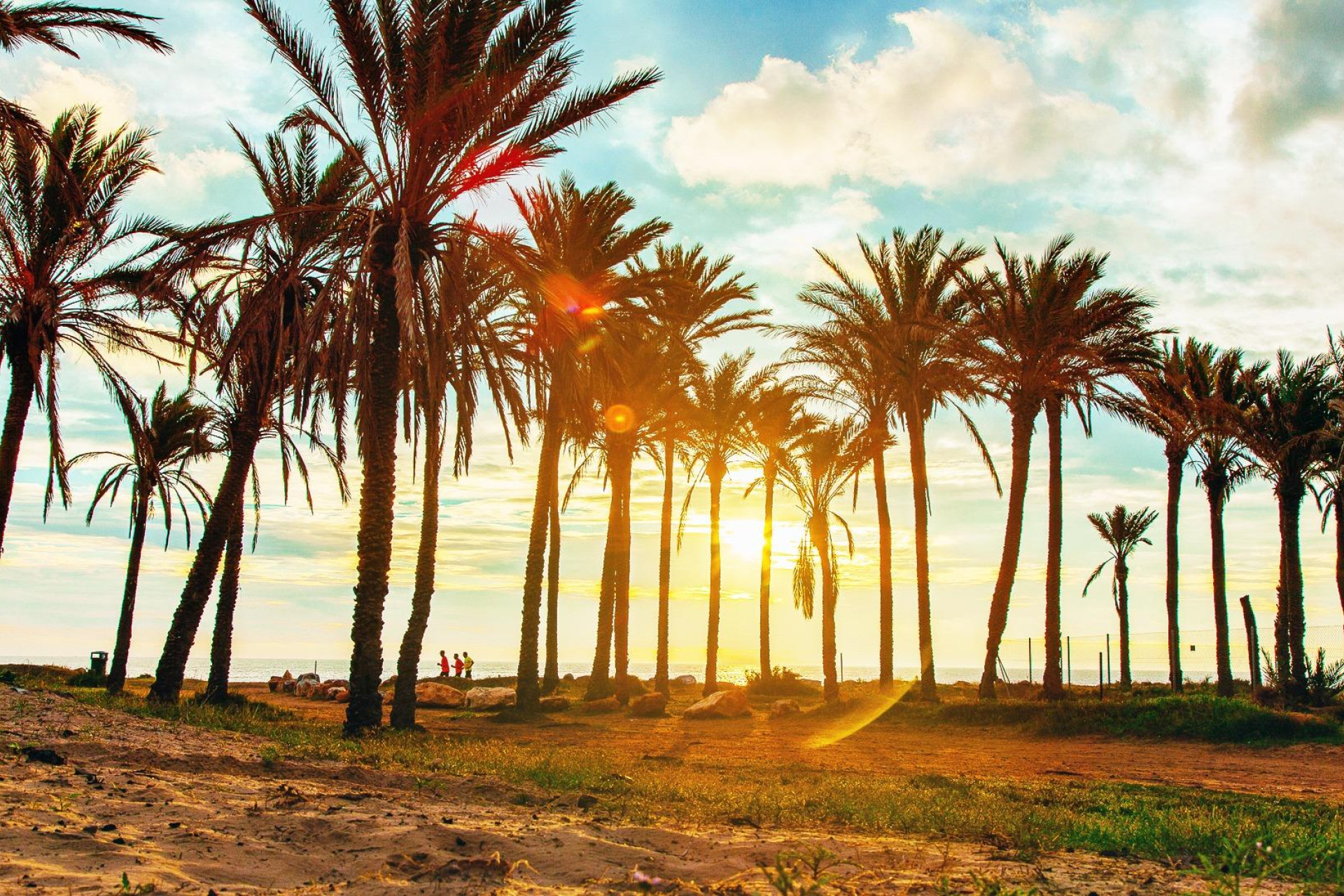 Revente - Maison mitoyenne -
Torrevieja - Los Balcones - Los Altos del Edén