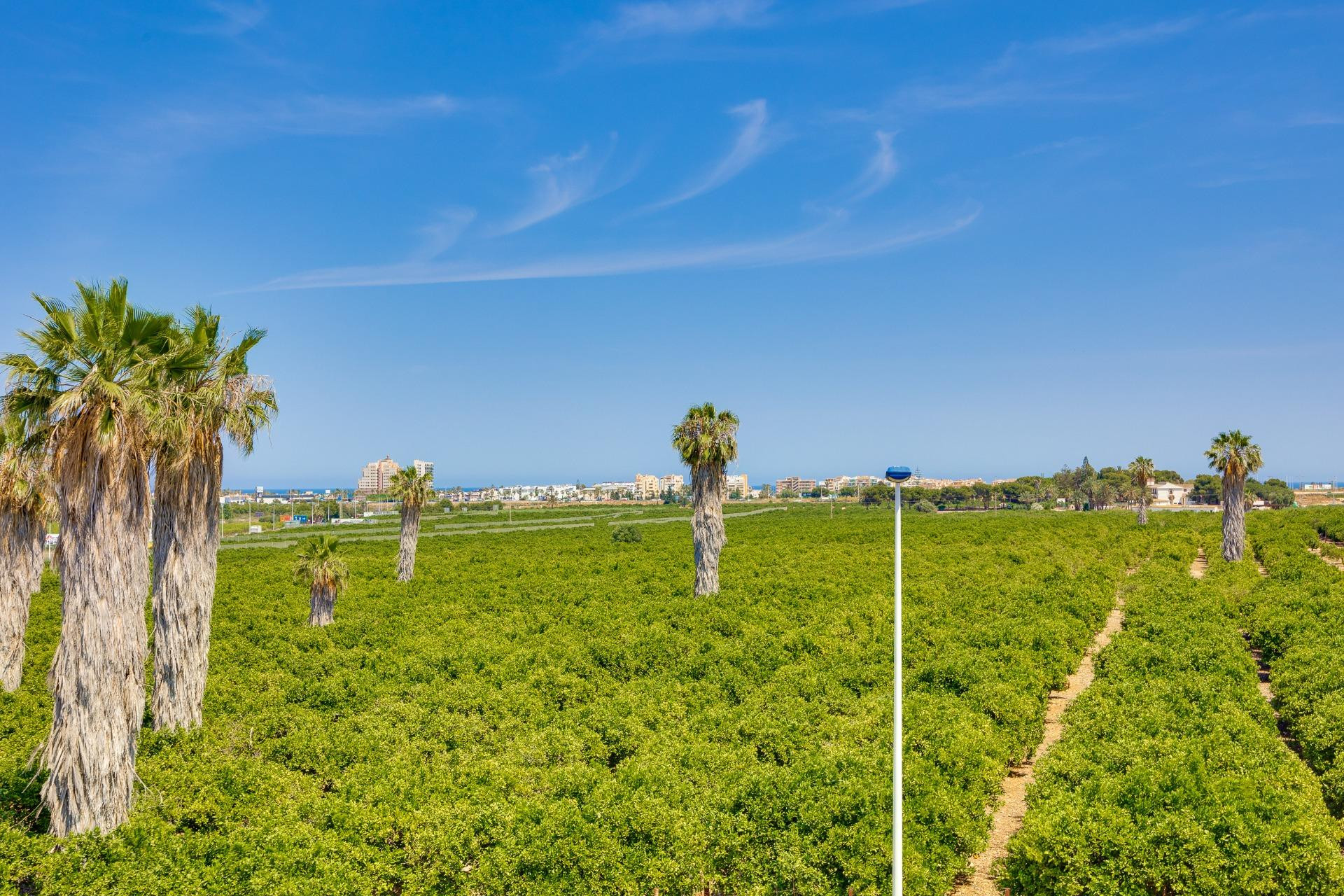 Revente - Maison mitoyenne -
Torrevieja - Los Balcones
