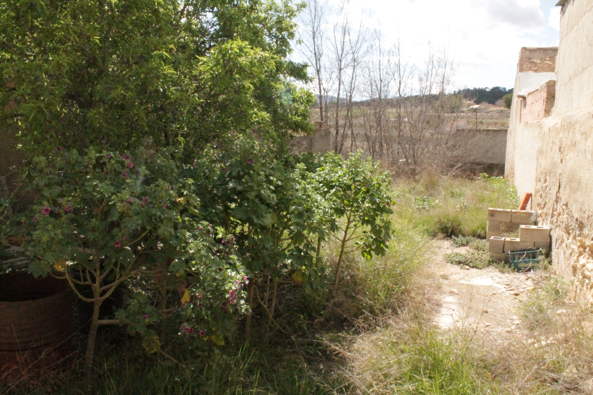 Revente - Maison mitoyenne -
Úbeda - Úbeda Alicante