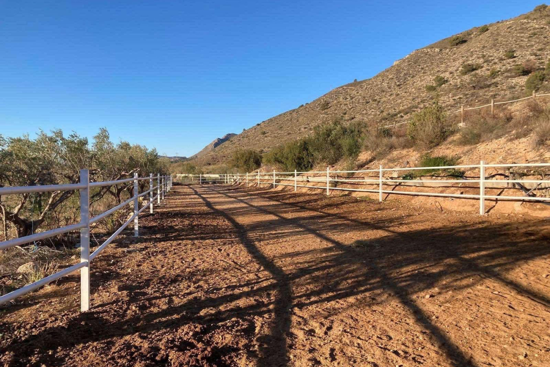 Revente - propriété équestre -
Hondón de las Nieves - HONDON DE LAS NIEVES
