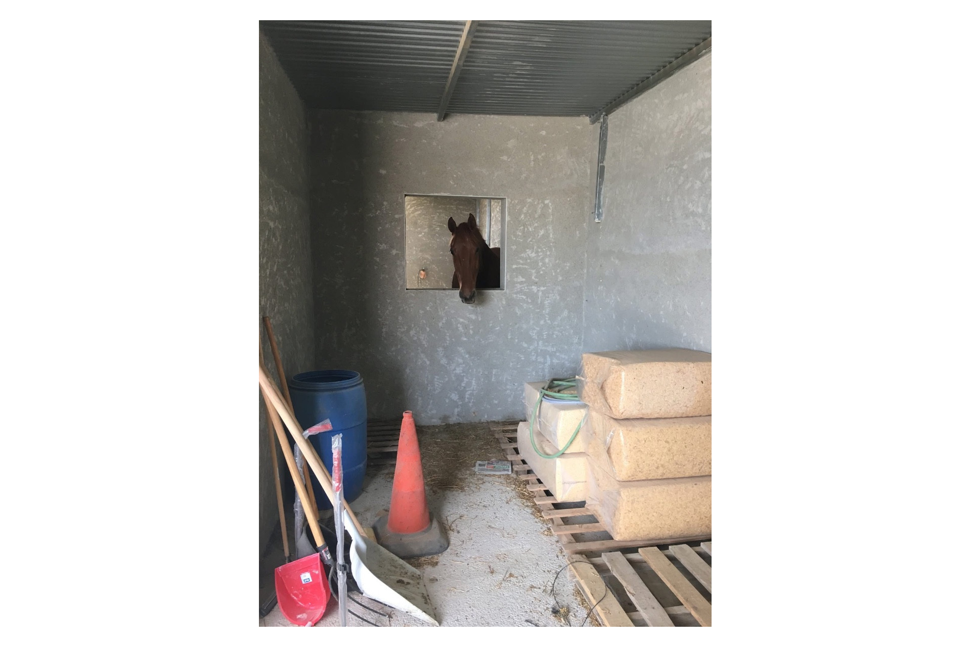 Revente - propriété équestre -
Hondón de las Nieves - HONDON DE LAS NIEVES