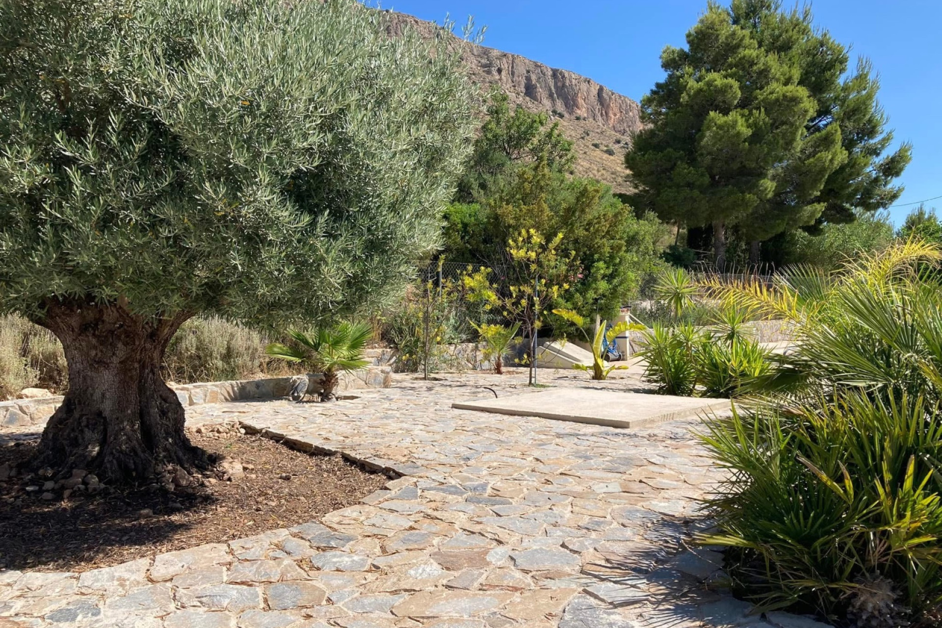 Revente - propriété équestre -
Hondón de las Nieves - HONDON DE LAS NIEVES