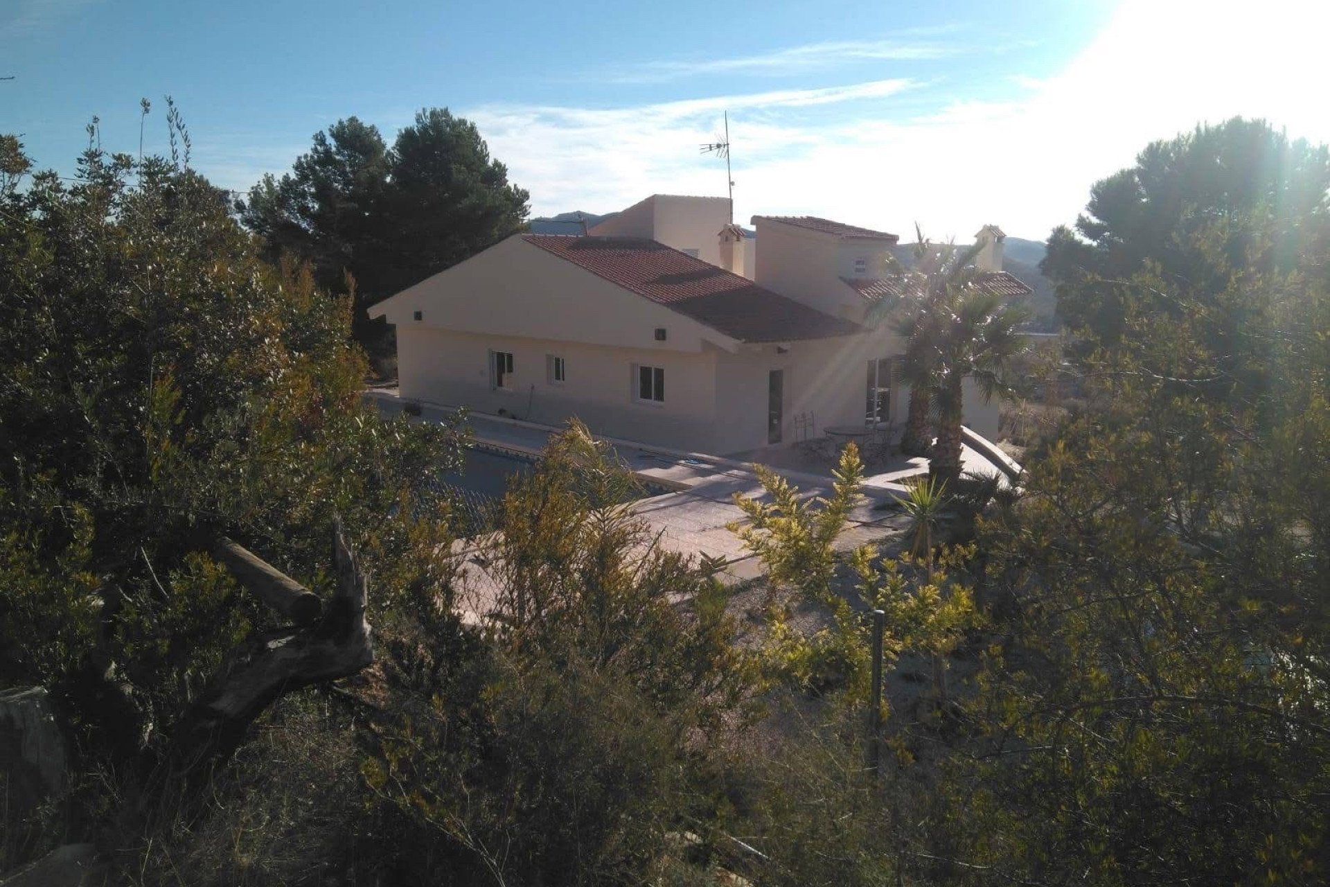 Revente - propriété équestre -
Hondón de las Nieves - HONDON DE LAS NIEVES