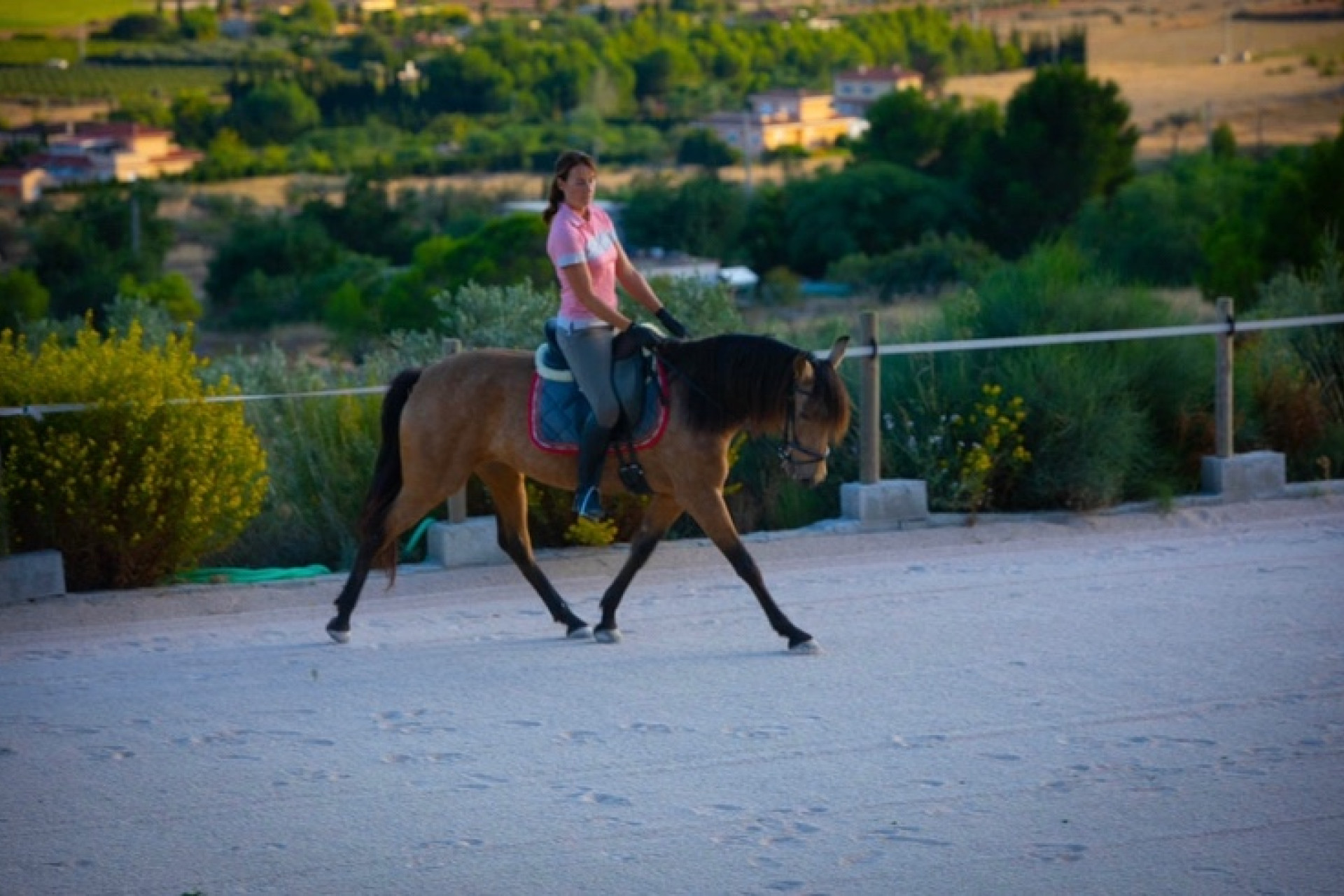 Revente - propriété équestre -
Hondón de las Nieves - HONDON DE LAS NIEVES