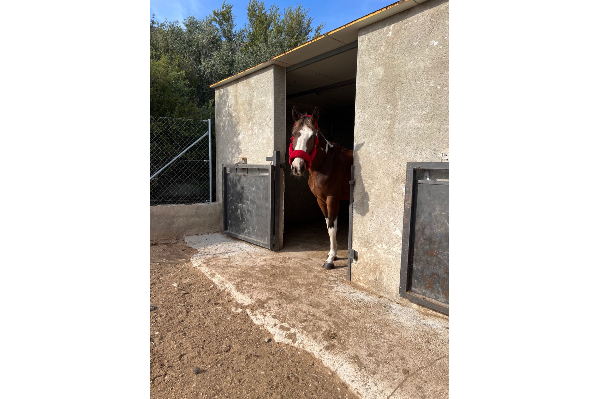 Revente - propriété équestre -
Hondón de las Nieves - HONDON DE LAS NIEVES