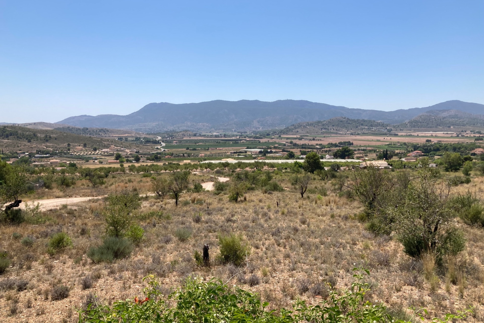 Revente - propriété équestre -
Hondón de las Nieves - HONDON DE LAS NIEVES