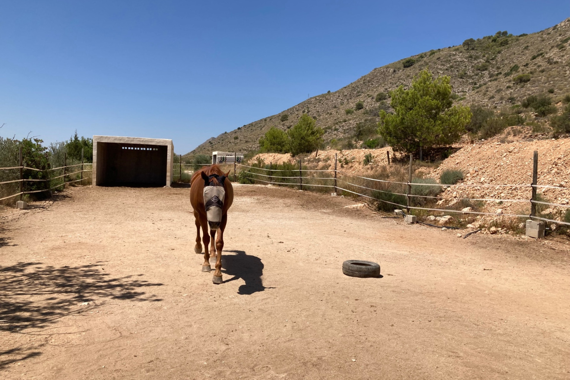 Revente - propriété équestre -
Hondón de las Nieves - HONDON DE LAS NIEVES