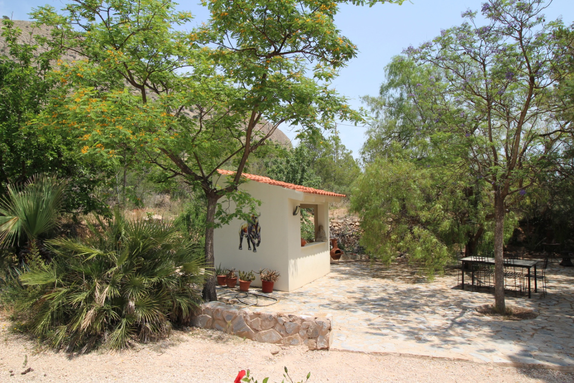 Revente - propriété équestre -
Hondón de las Nieves - HONDON DE LAS NIEVES