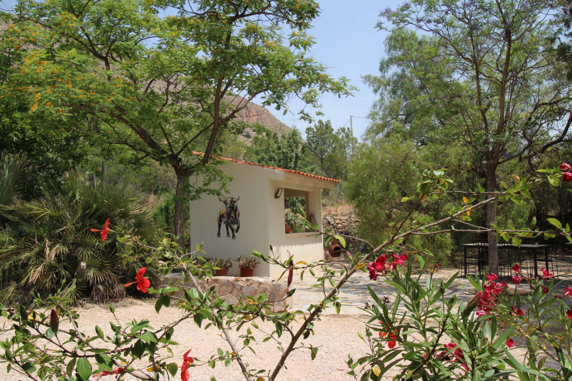 Revente - propriété équestre -
Hondón de las Nieves - HONDON DE LAS NIEVES