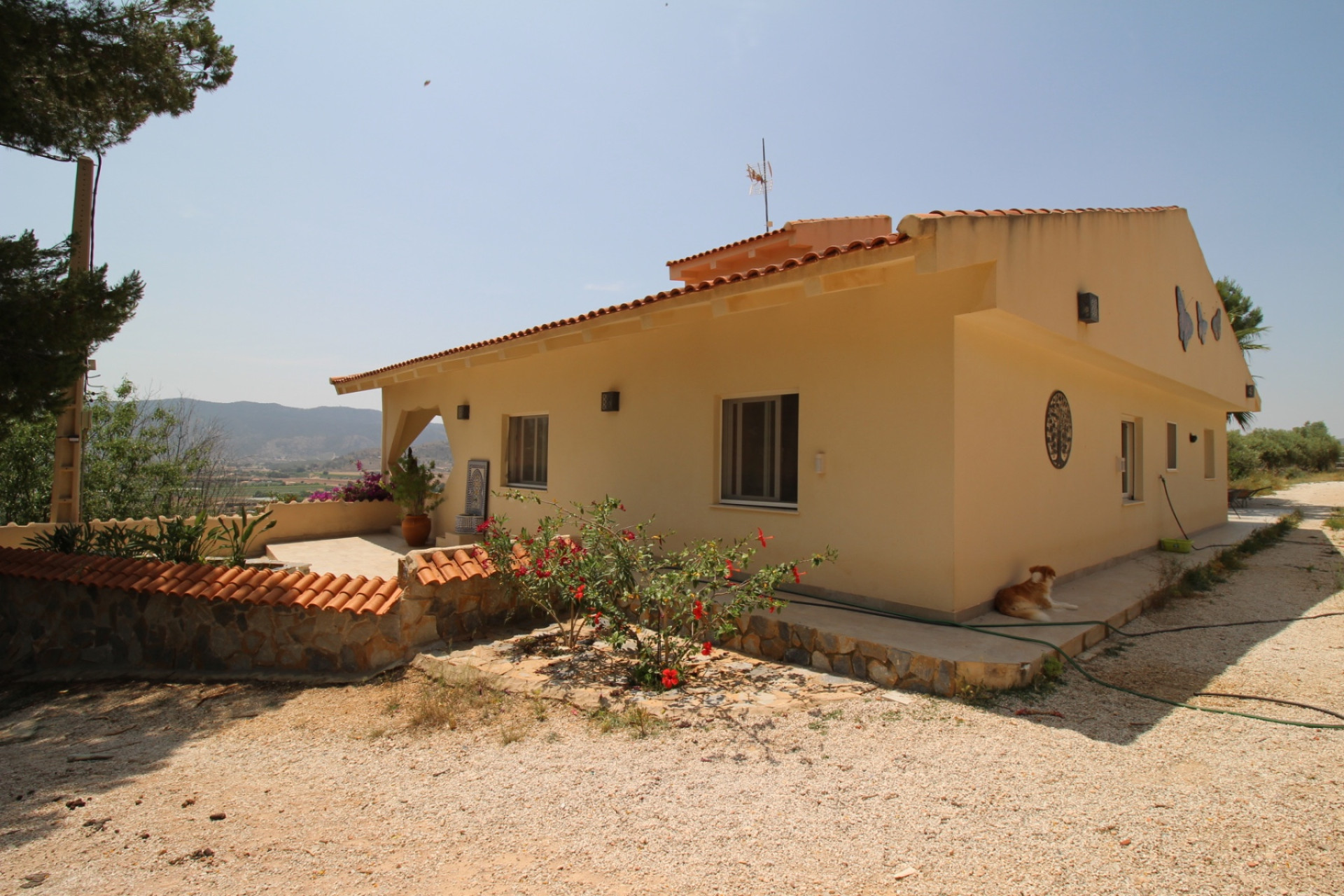 Revente - propriété équestre -
Hondón de las Nieves - HONDON DE LAS NIEVES