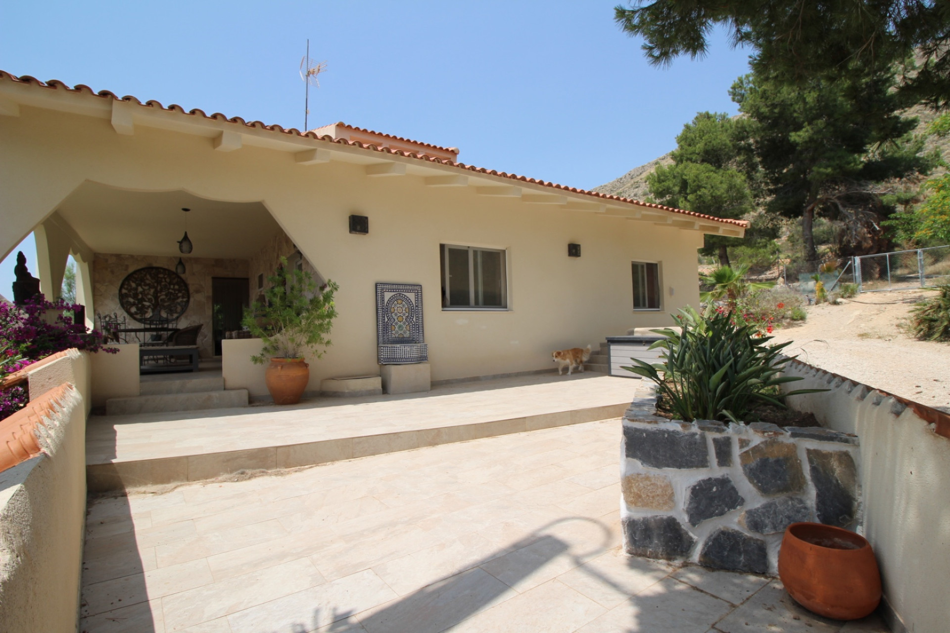 Revente - propriété équestre -
Hondón de las Nieves - HONDON DE LAS NIEVES