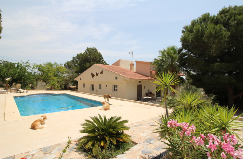 Revente - propriété équestre -
Hondón de las Nieves - HONDON DE LAS NIEVES