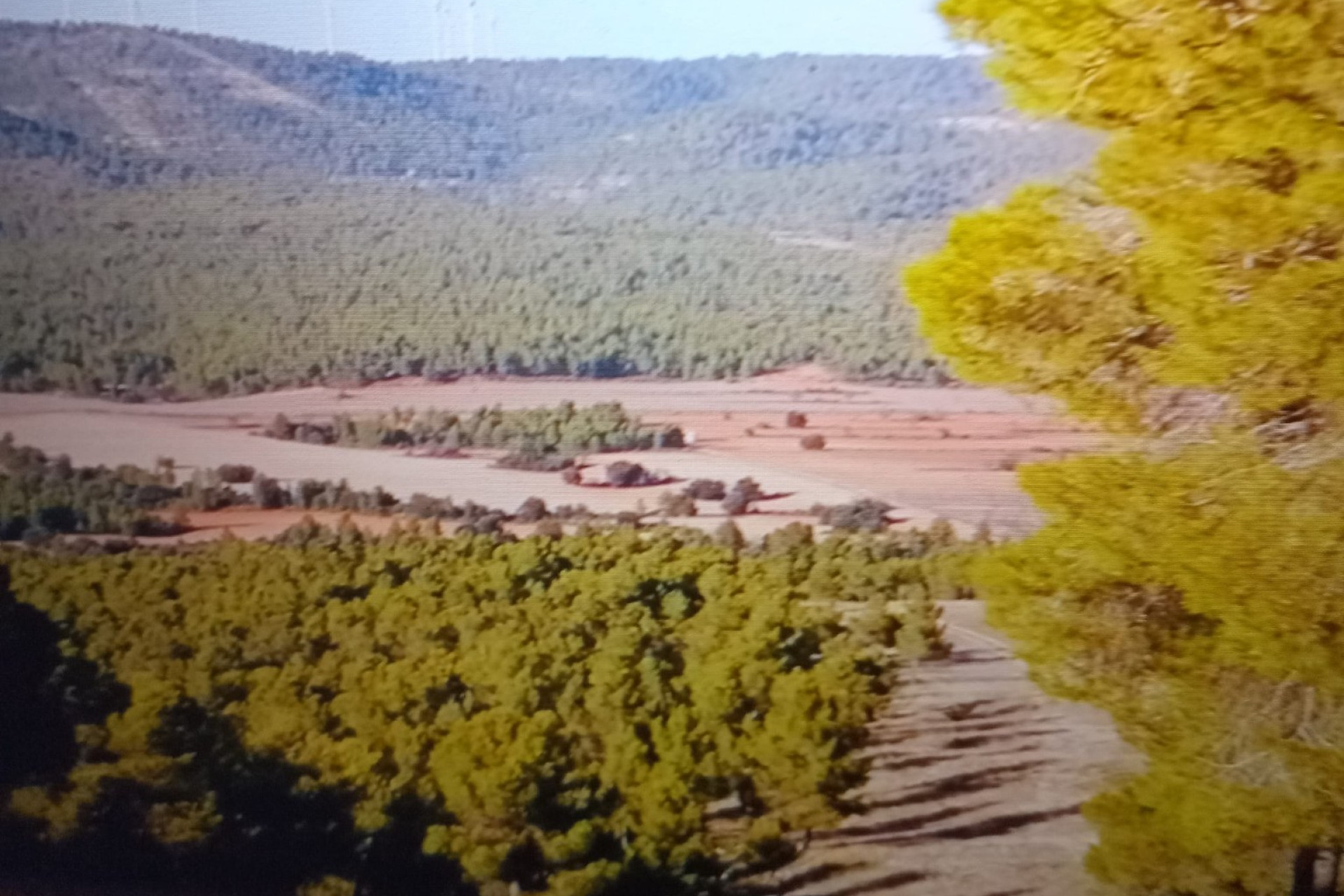 Revente - propriété équestre -
Zarra