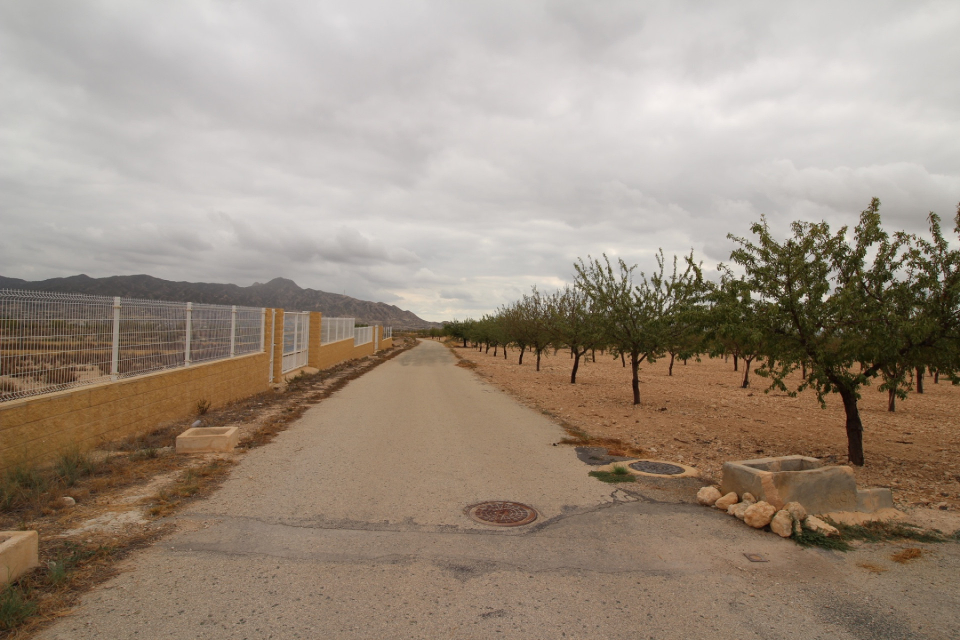 Revente - Terrain -
Abanilla - ABANILLA