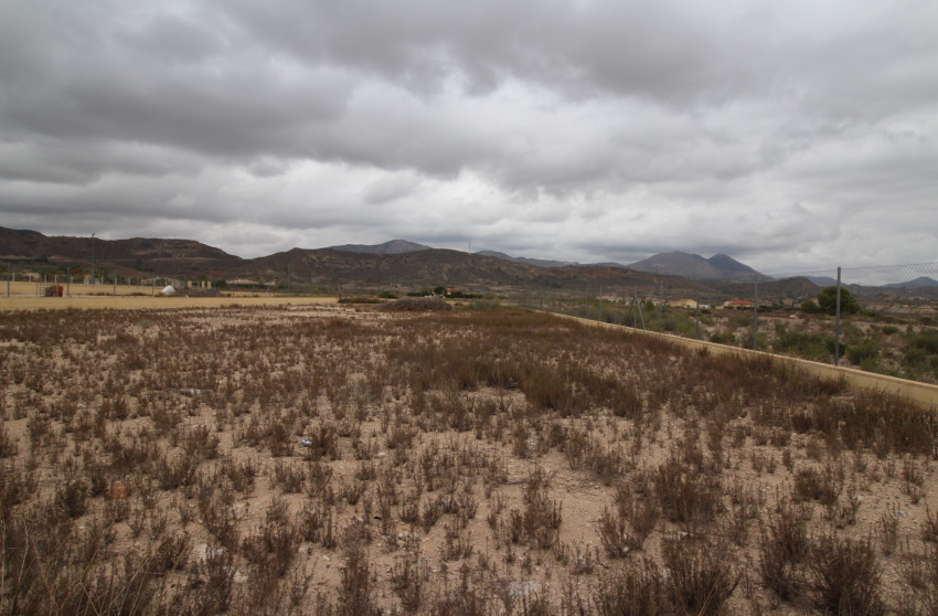 Revente - Terrain -
Abanilla - ABANILLA