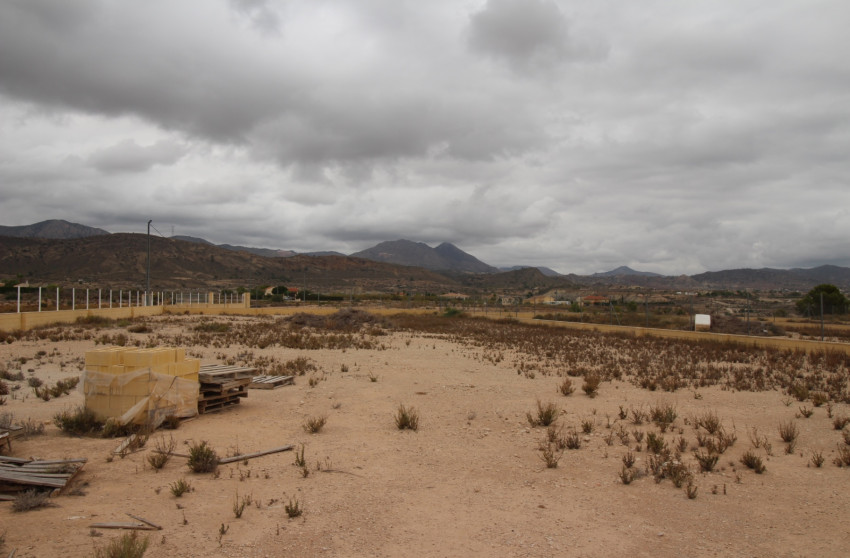 Revente - Terrain -
Abanilla - ABANILLA