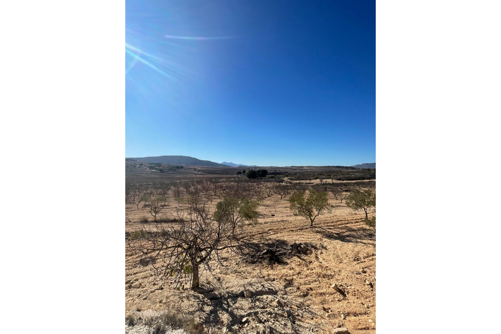 Revente - Terrain -
Culebr&oacute;n - Culebr&oacute;n Alicante