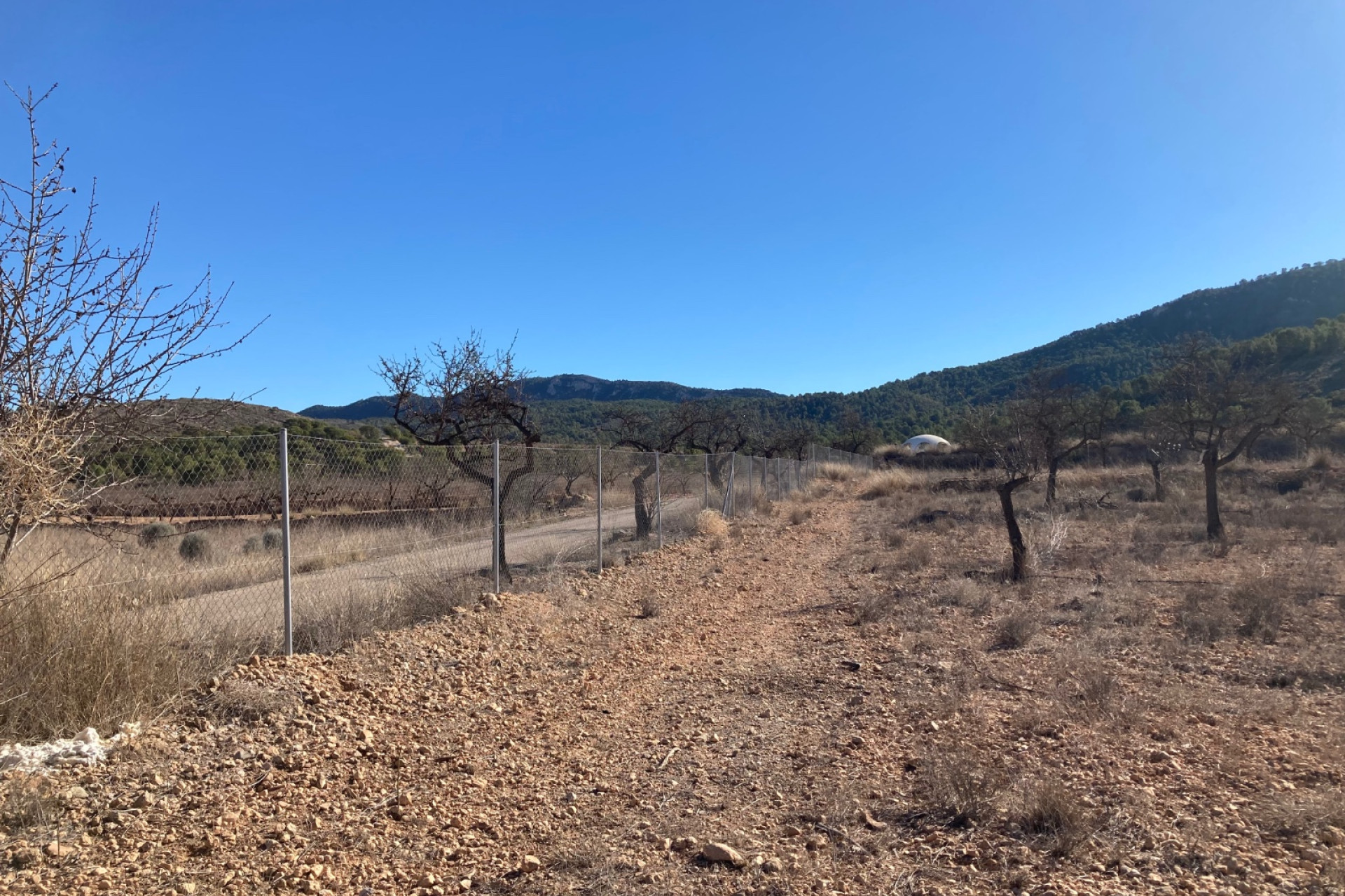 Revente - Terrain -
Hondón de las Nieves - HONDON DE LAS NIEVES