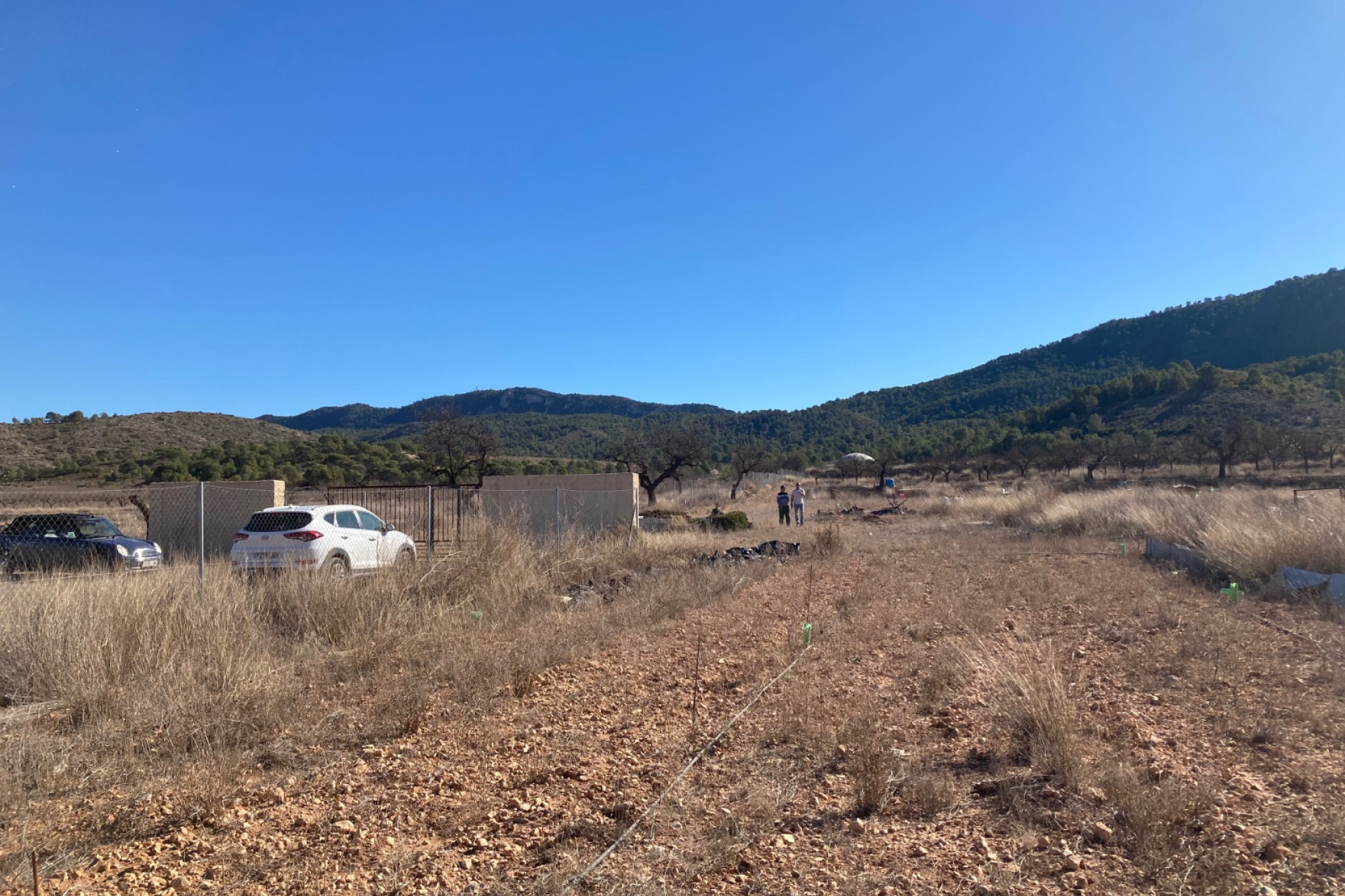 Revente - Terrain -
Hondón de las Nieves - HONDON DE LAS NIEVES