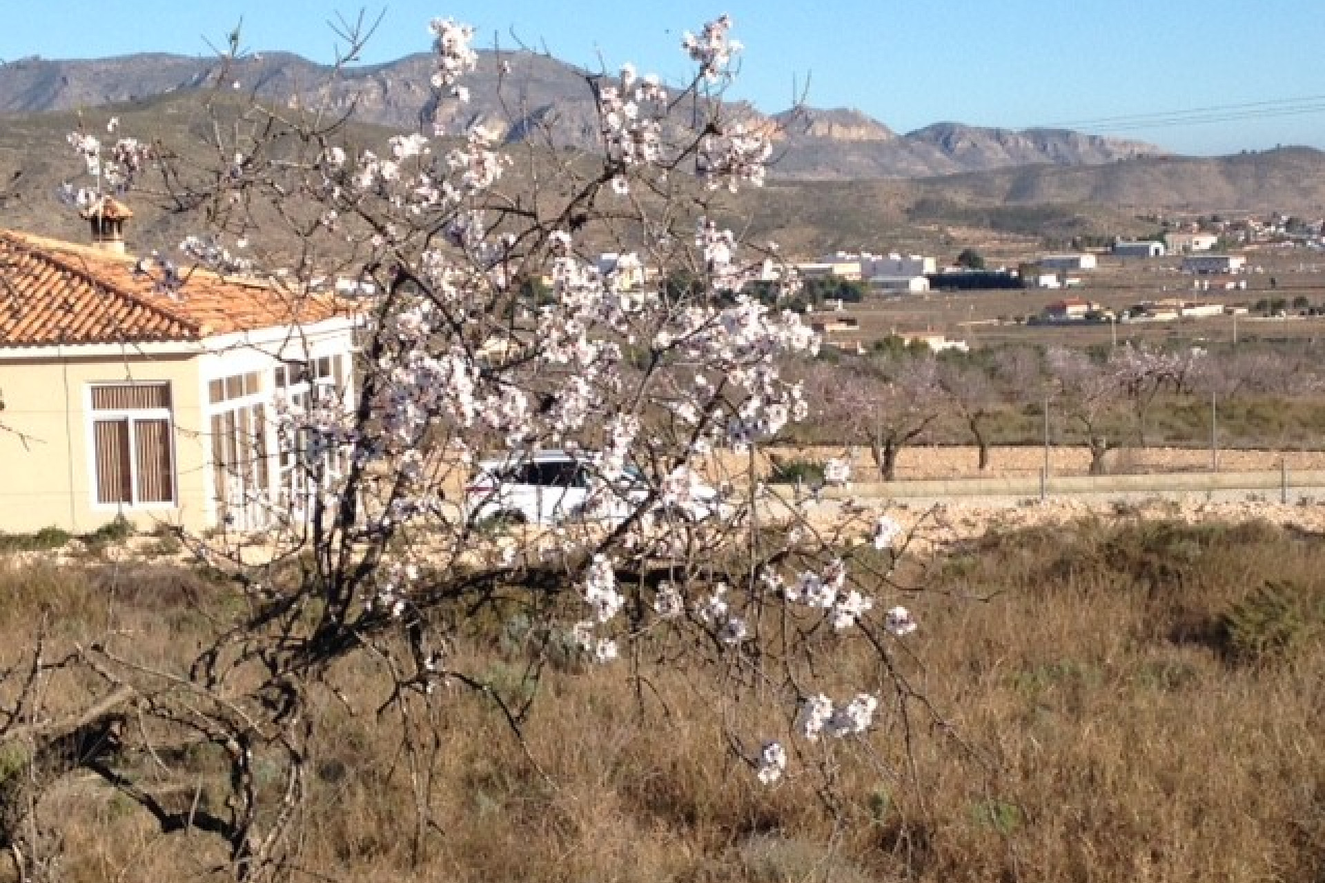 Revente - Terrain -
Hondón de los Fráiles